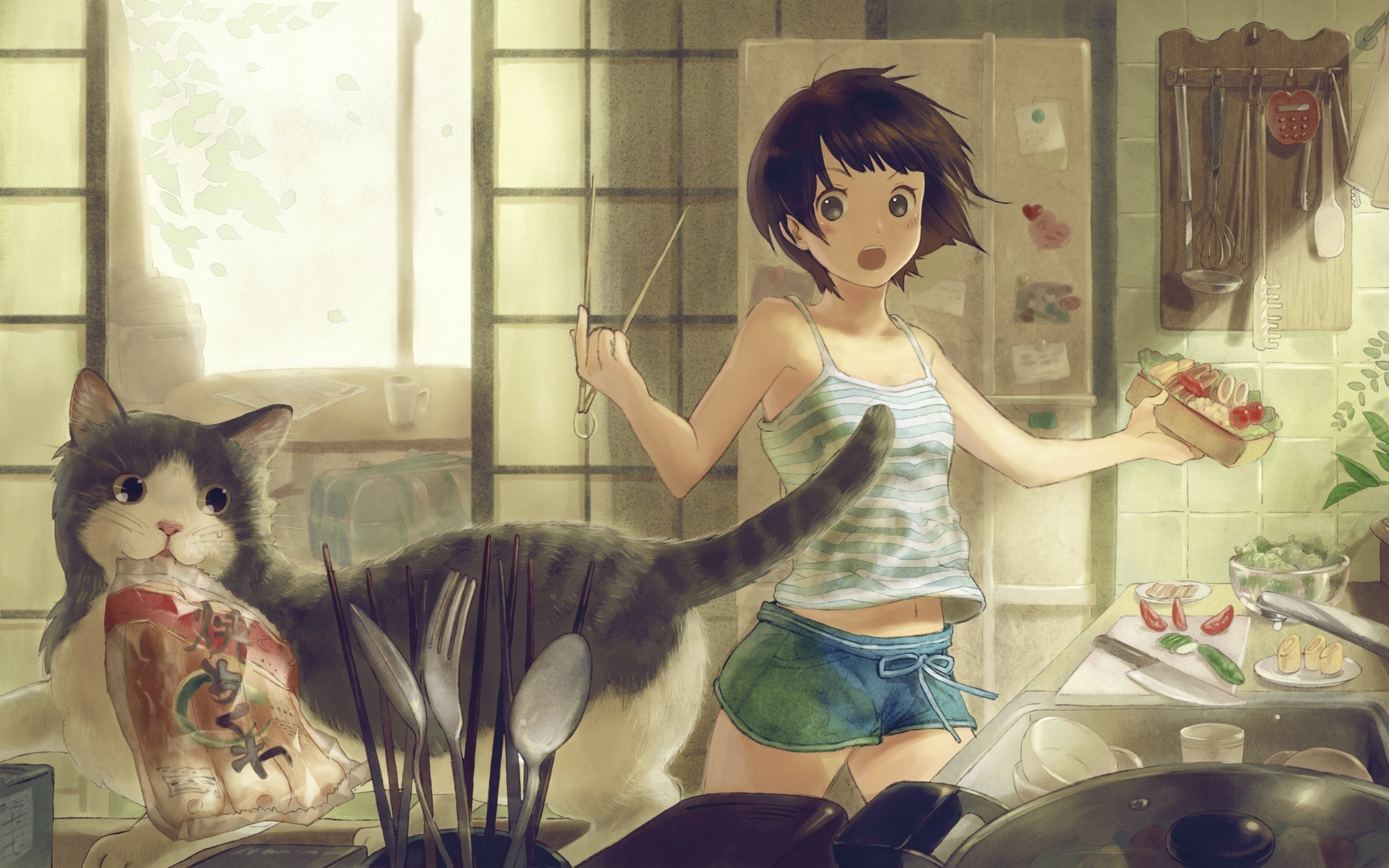 Girl and cat in a kitchen HD Wallpaper