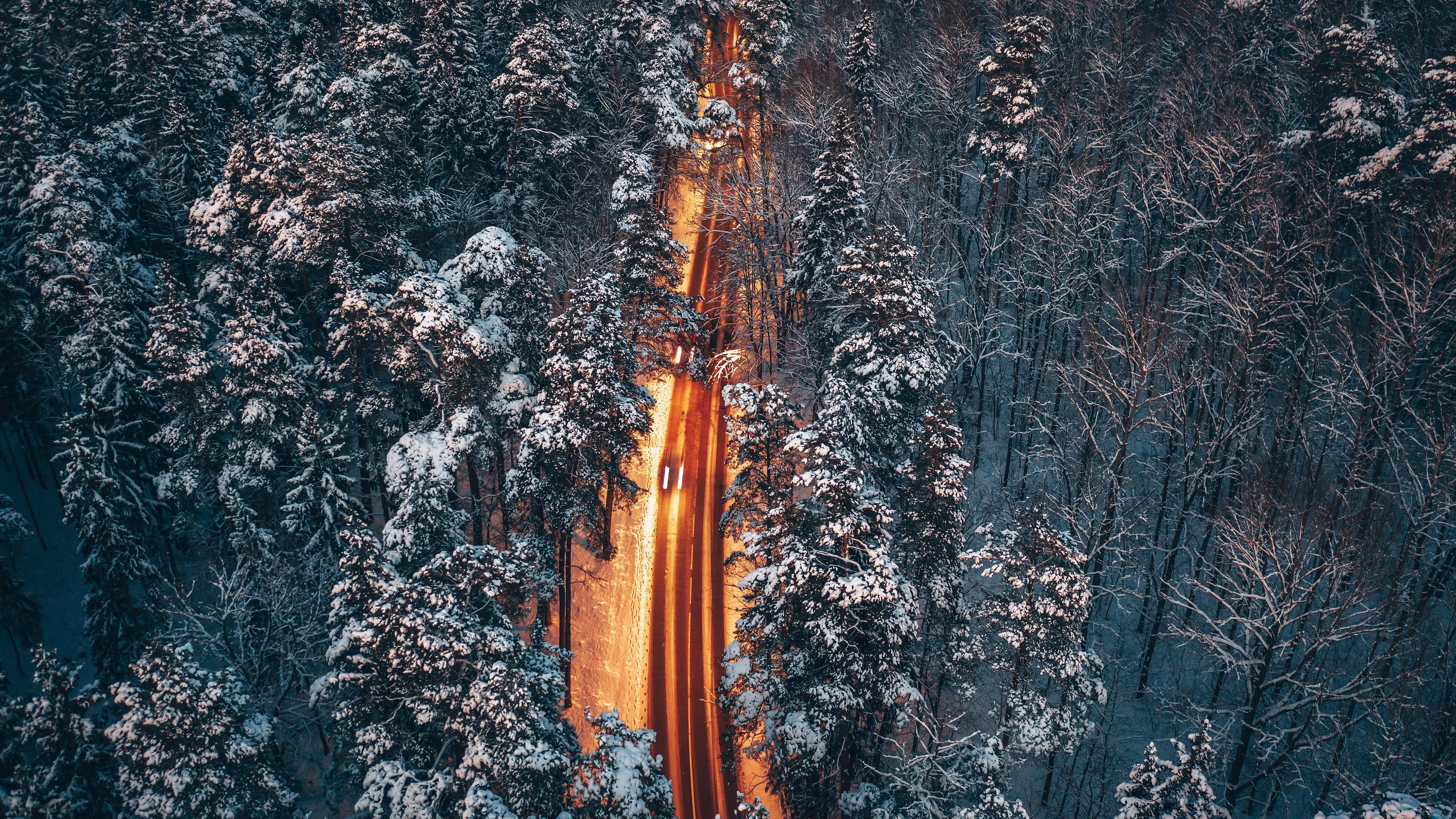 Aerial view of a snow-covered forest road at night HD Wallpaper