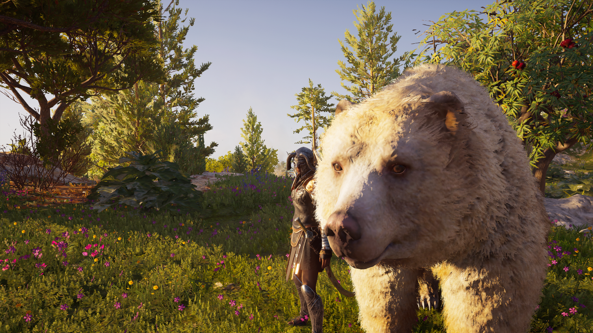 Assassin's Creed Odyssey: Woman and Bear in a Forest HD Wallpaper