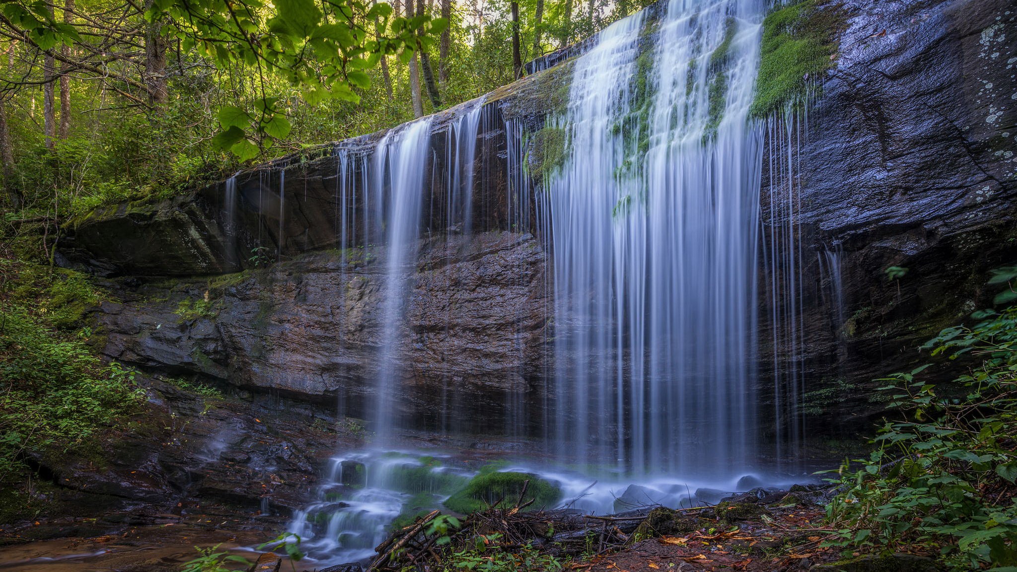 Waterfall cascading over mossy rocks in a forest HD Wallpaper