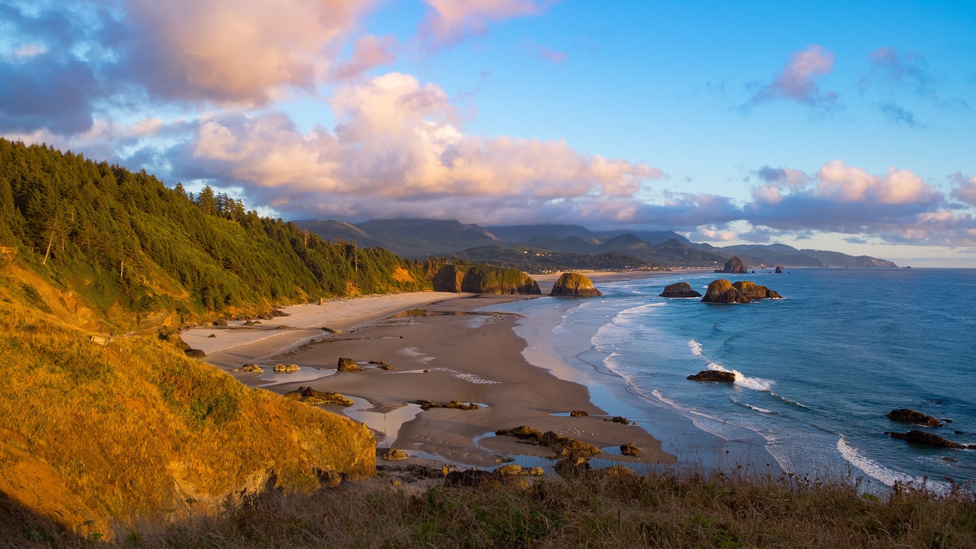 Oregon Coastline with Haystack Rock at Sunset HD Wallpaper