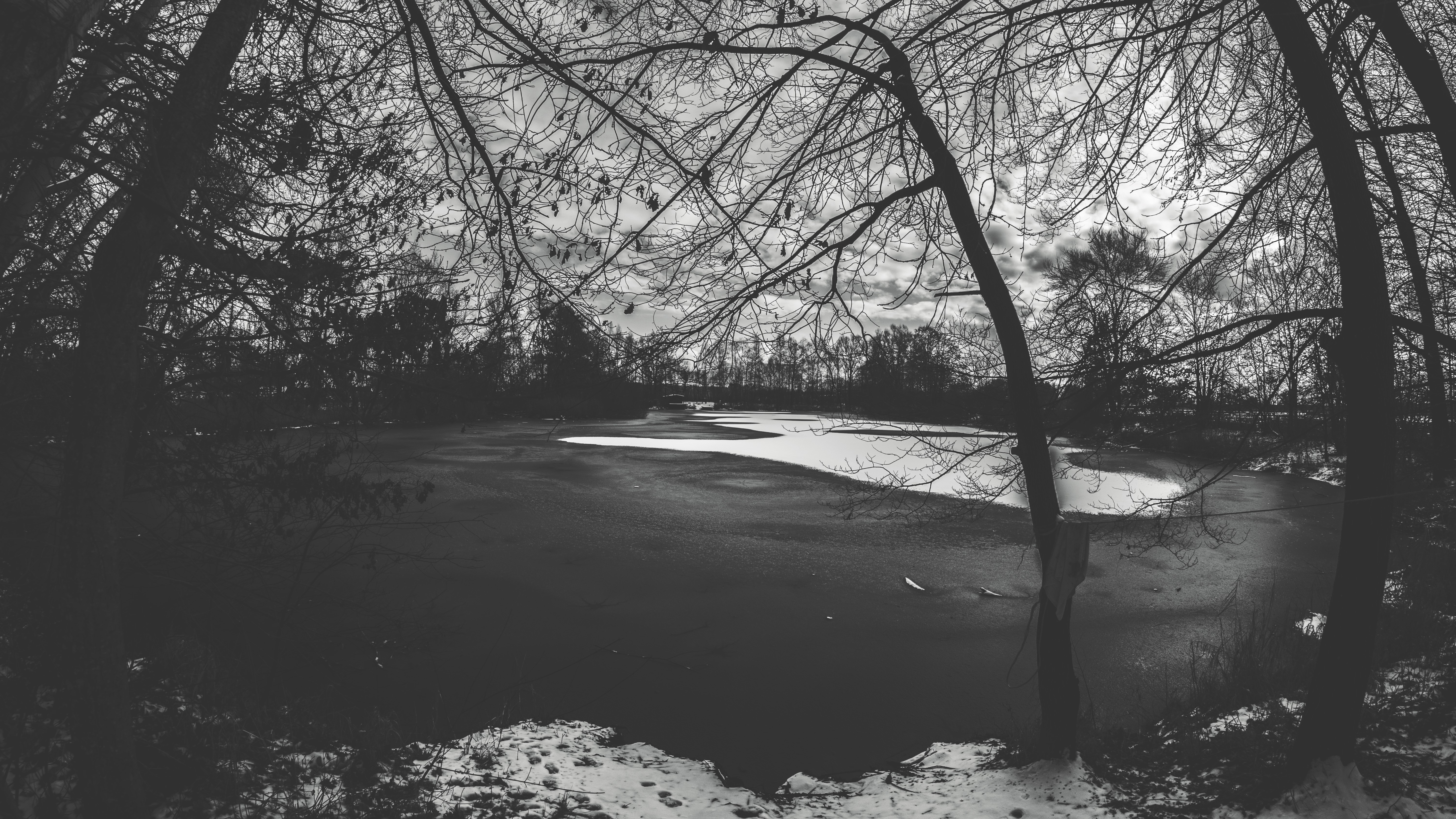 Monochrome winter scene with frozen lake and trees HD Wallpaper