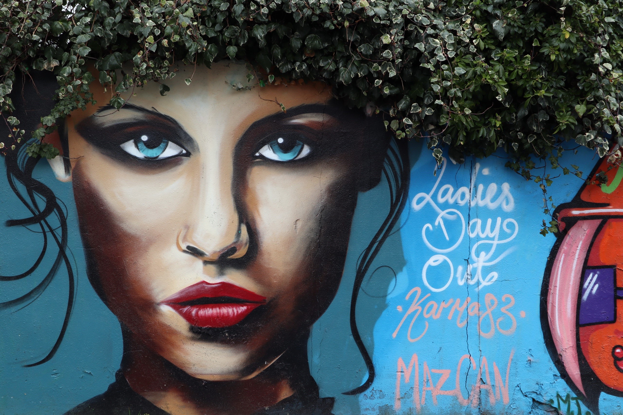 Graffiti of a woman's face with ivy and text HD Wallpaper