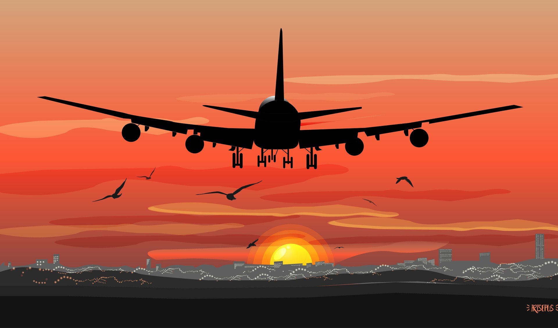 Airplane landing over cityscape at sunset with birds HD Wallpaper