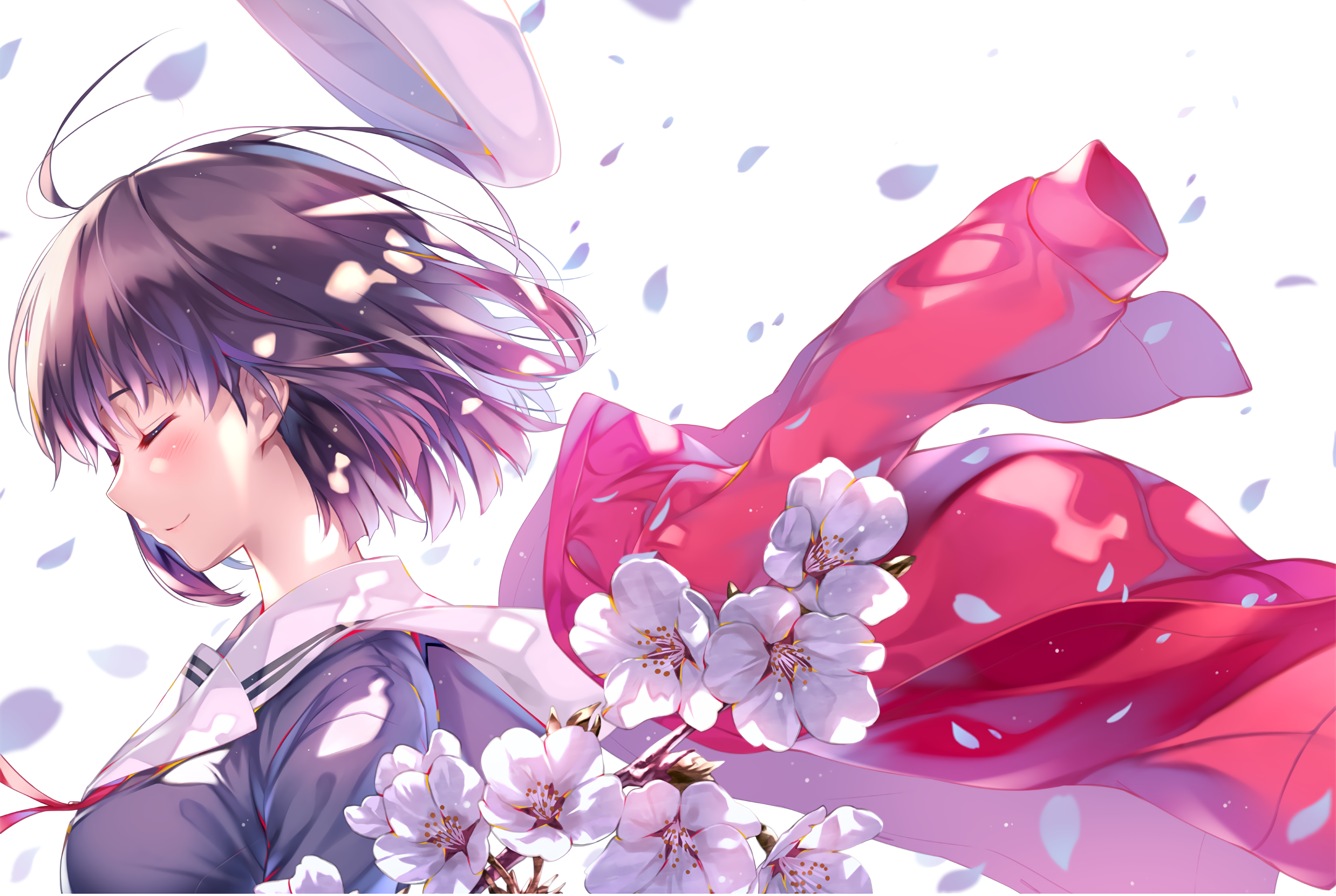 Katou Megumi from Saenai Heroine no Sodatekata with Cherry Blossoms HD Wallpaper