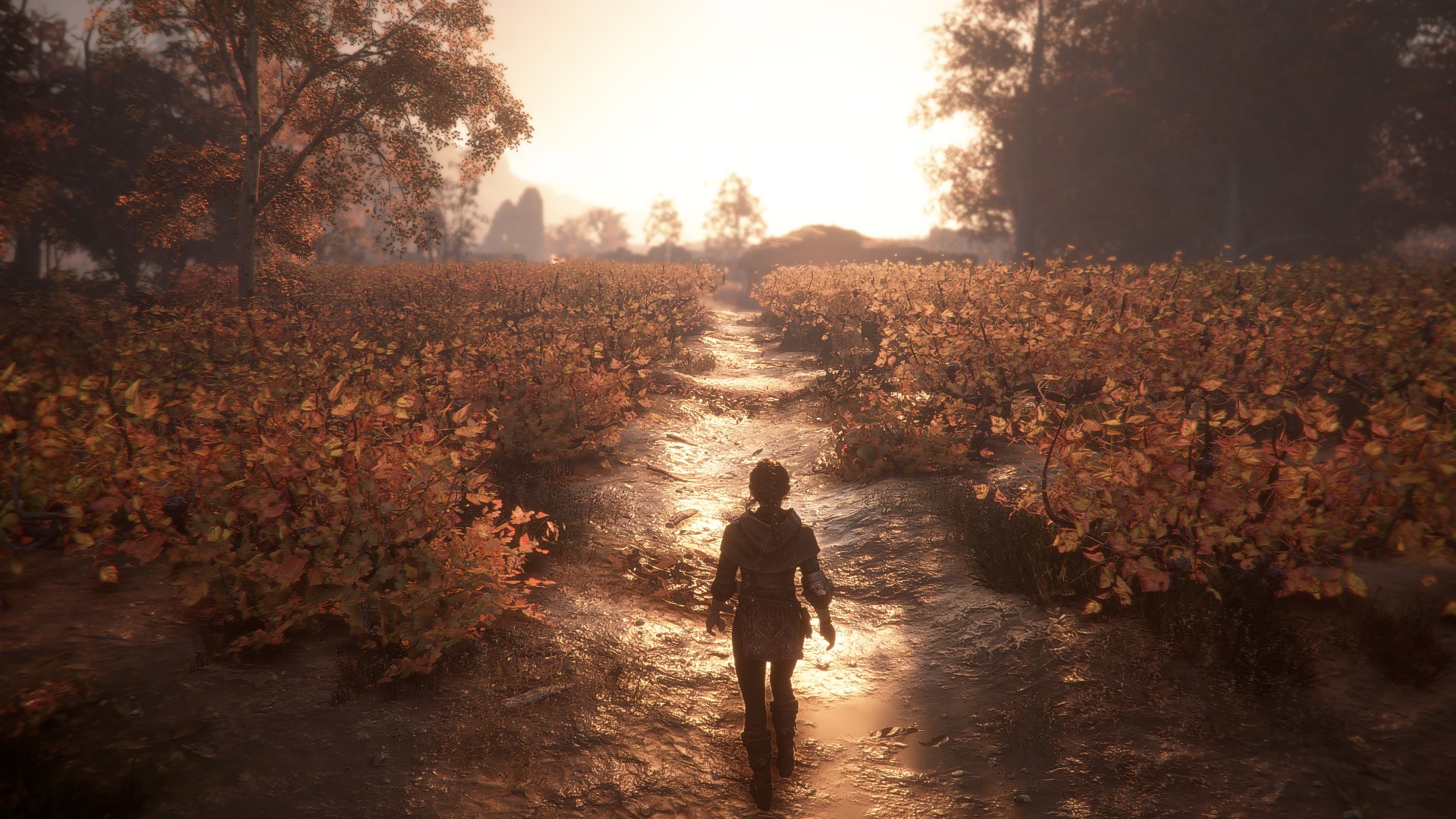 Amicia de Rune from A Plague Tale Innocence walking through a field HD Wallpaper