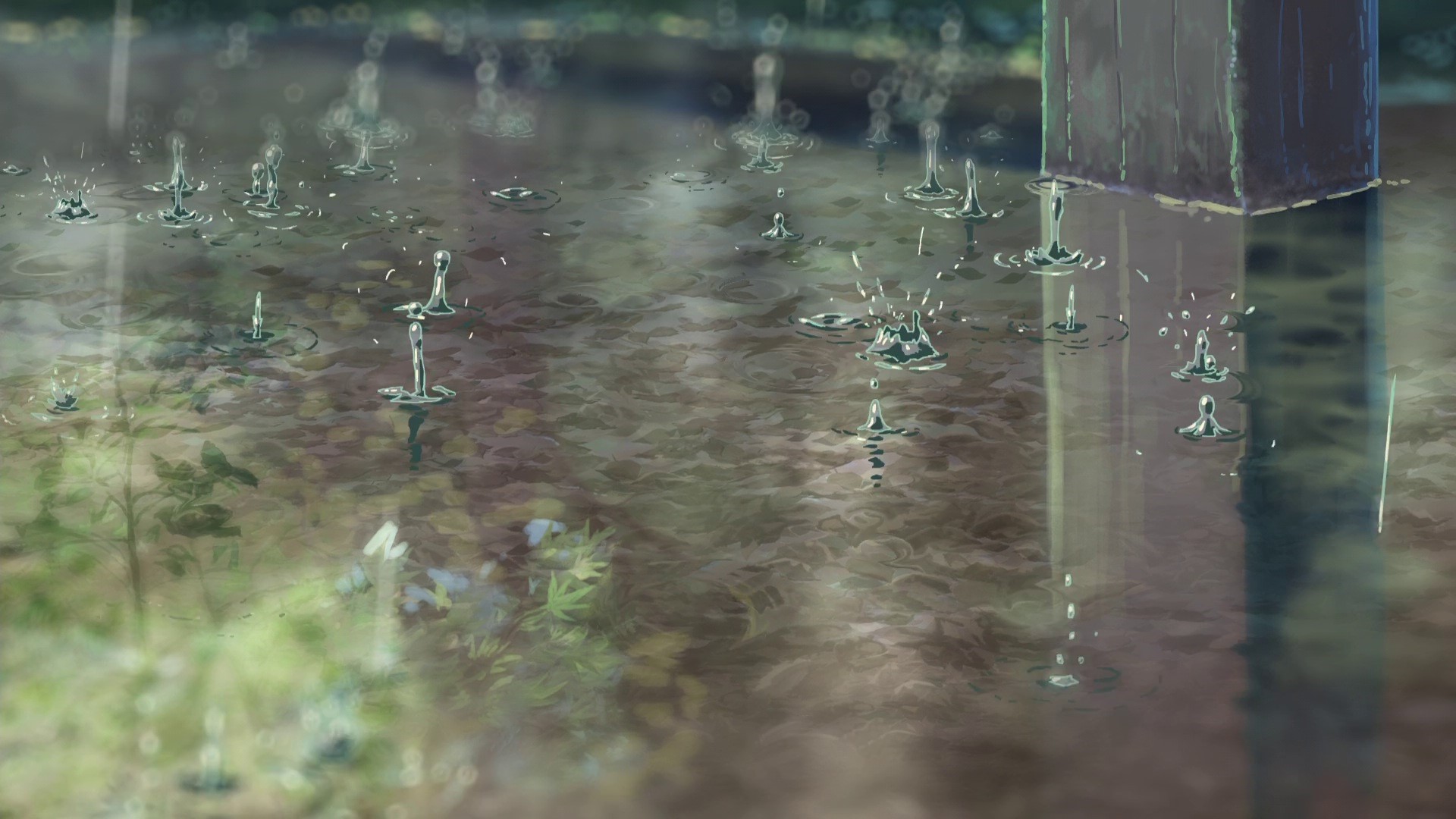 Raindrops in The Garden of Words HD Wallpaper