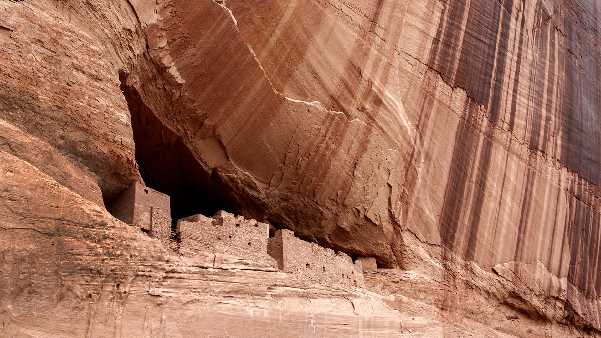 Cliff dwellings in a sandstone canyon, Arizona, USA HD Wallpaper