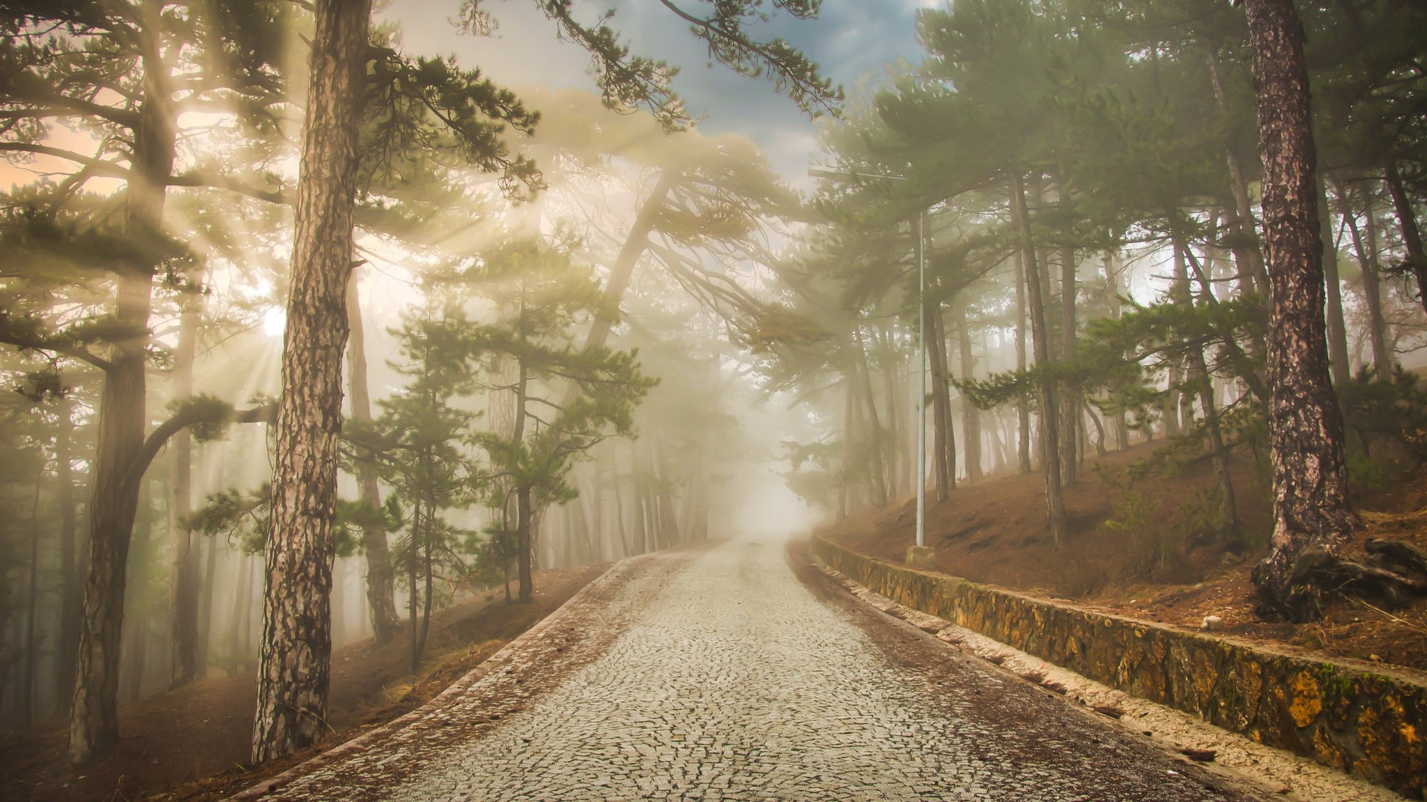 Cobblestone road through a misty forest with sunbeams HD Wallpaper