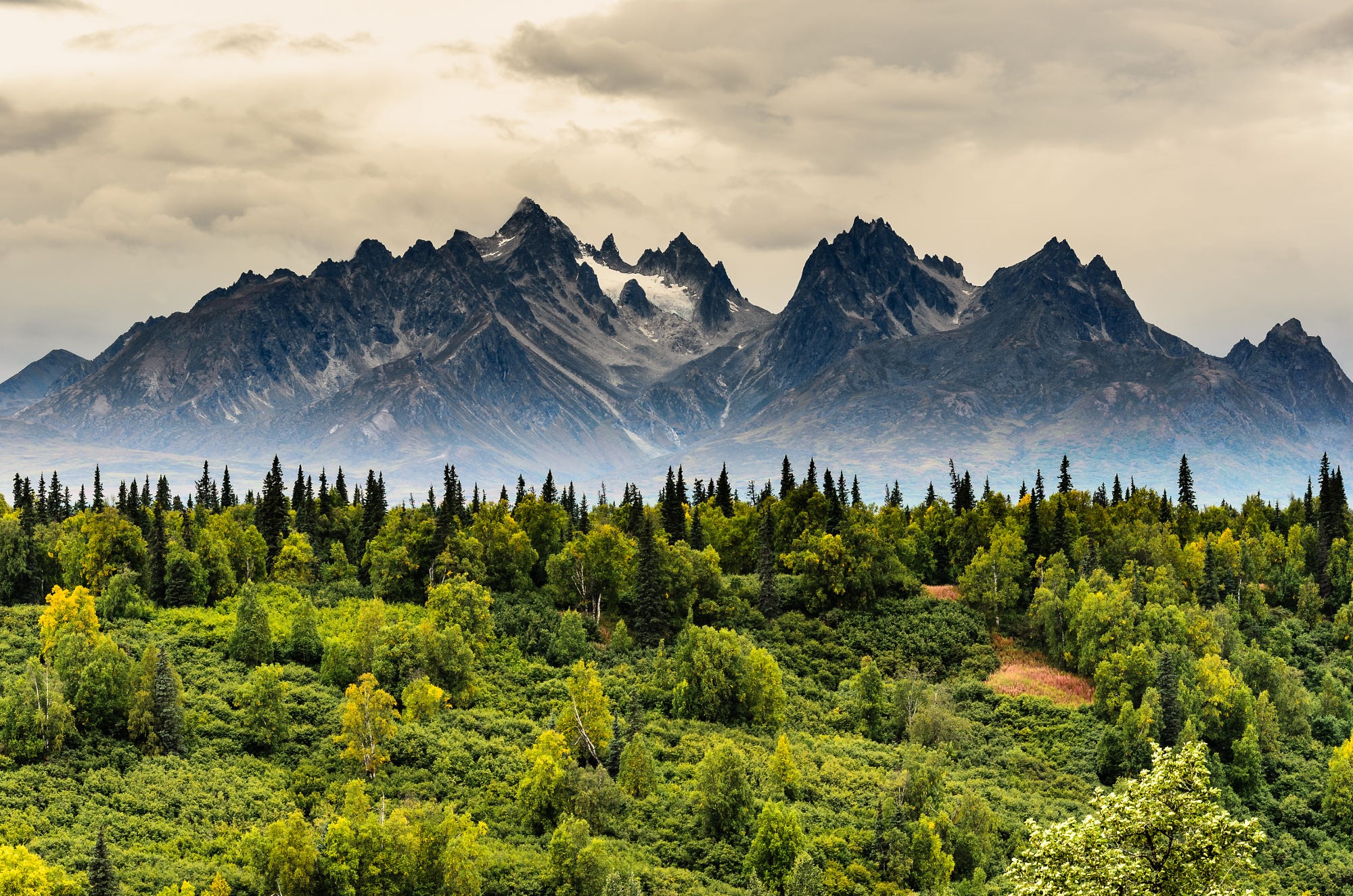 Jagged mountains rise above a dense forest in Alaska HD Wallpaper