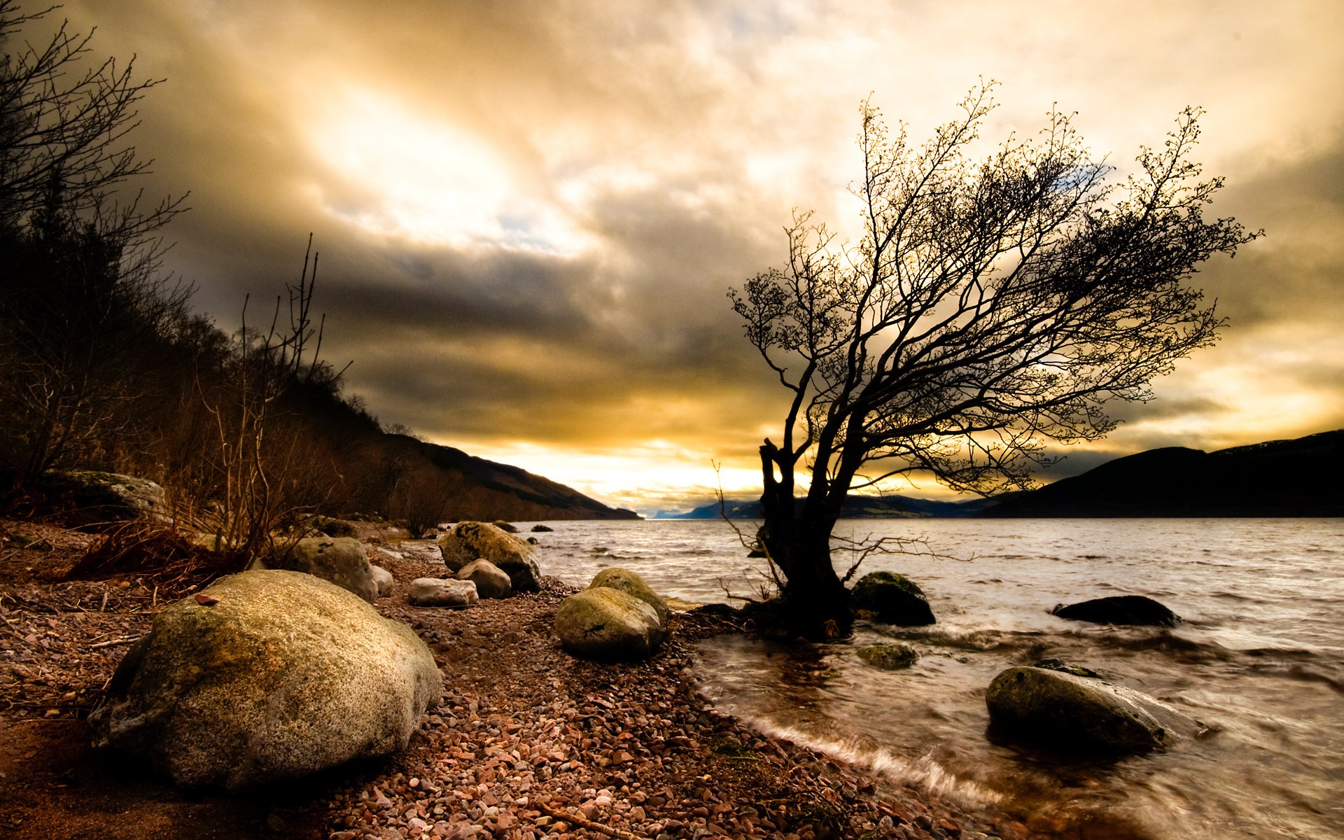 Tree by a lake with dramatic sky HD Wallpaper