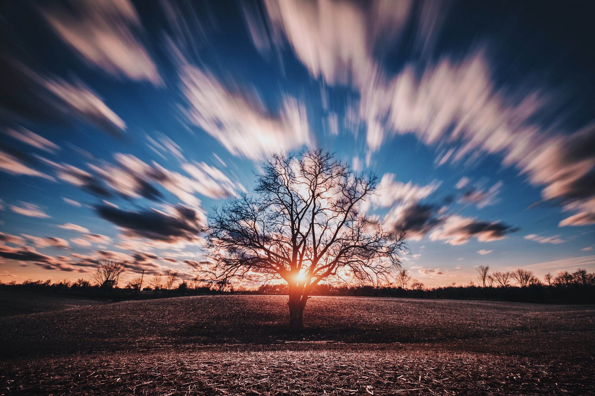Silhouette of a tree against a sunset with streaking clouds HD Wallpaper