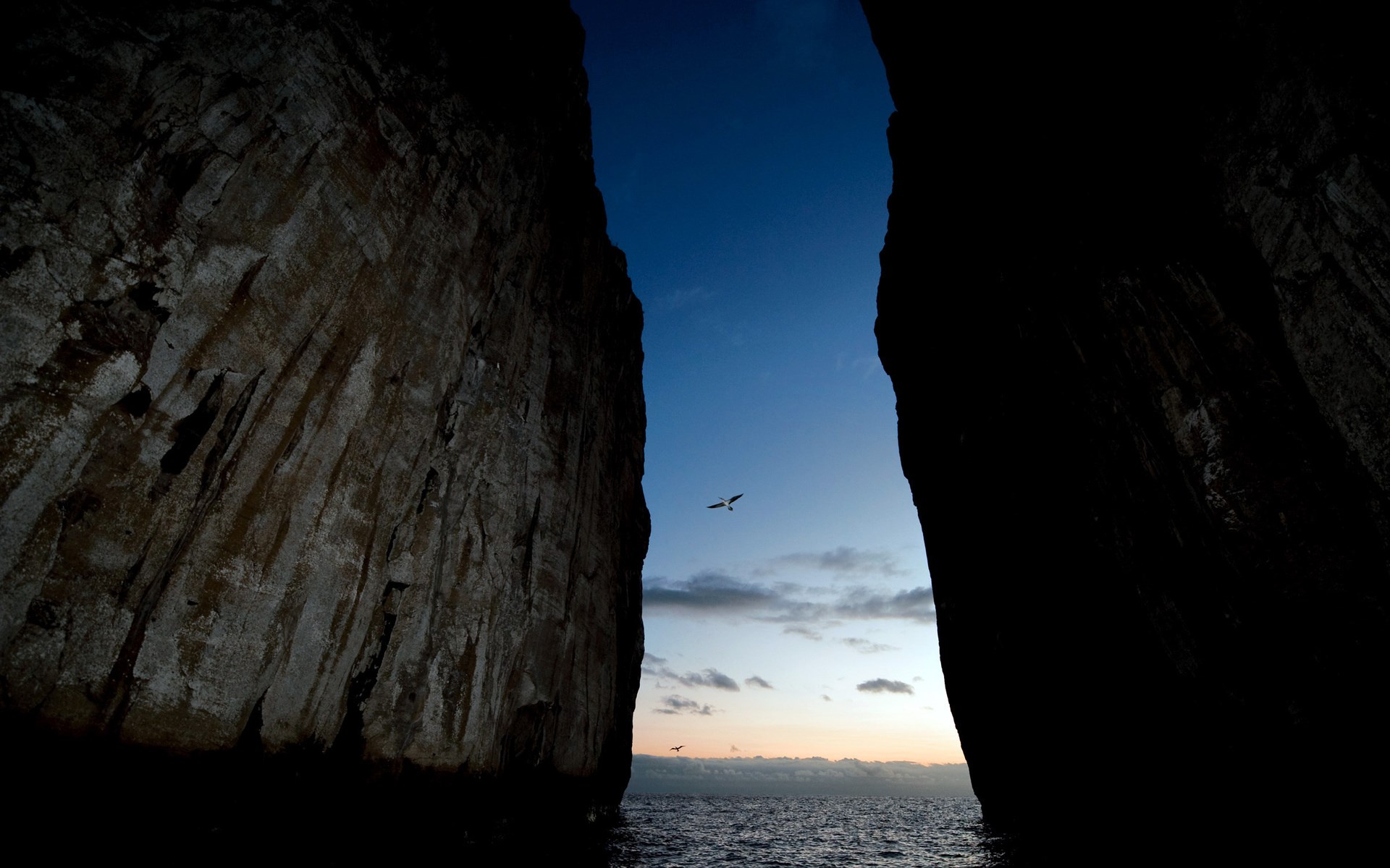 Birds flying through rock archway at sunset HD Wallpaper