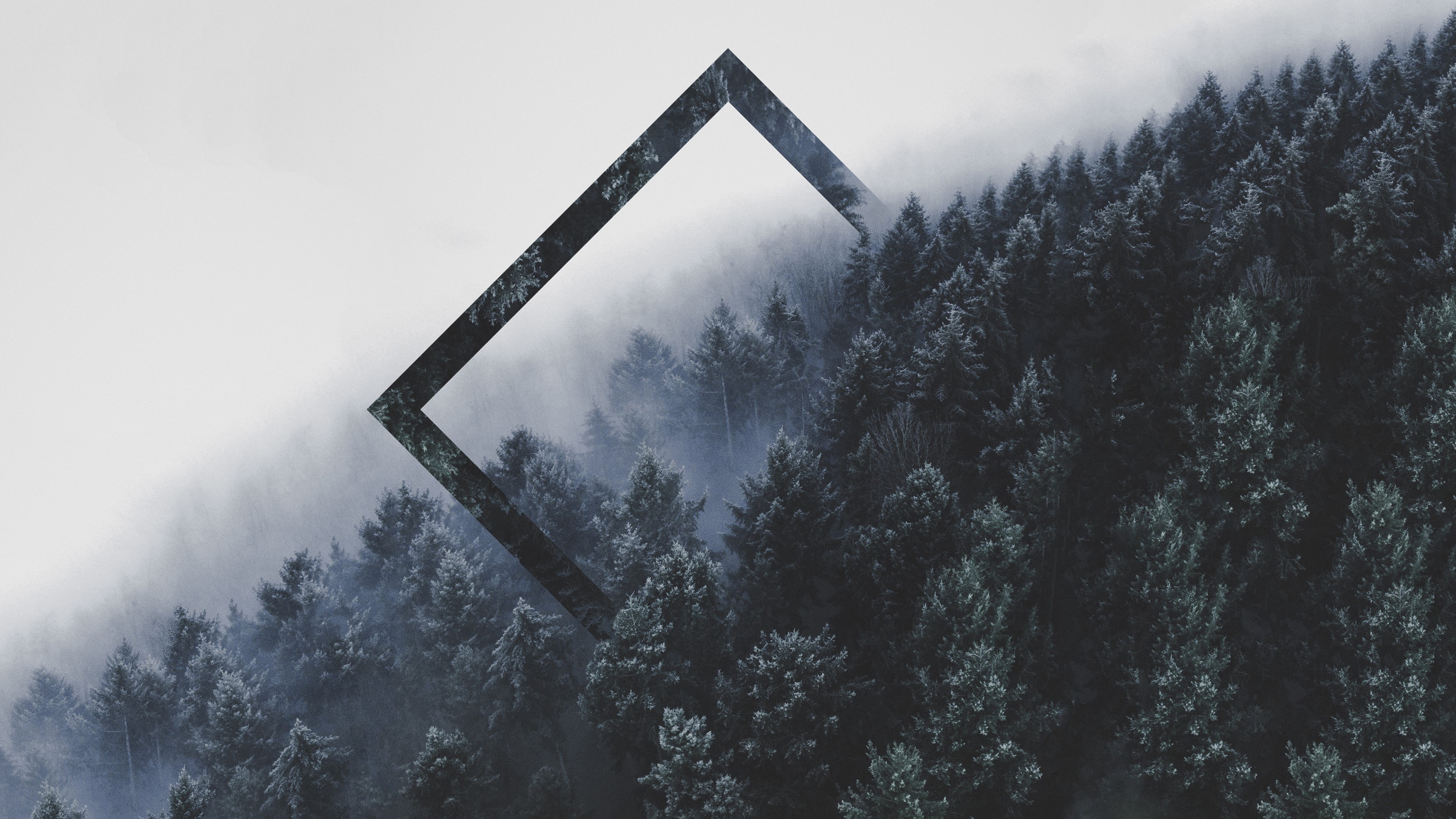 4K misty forest with geometric overlay HD Wallpaper