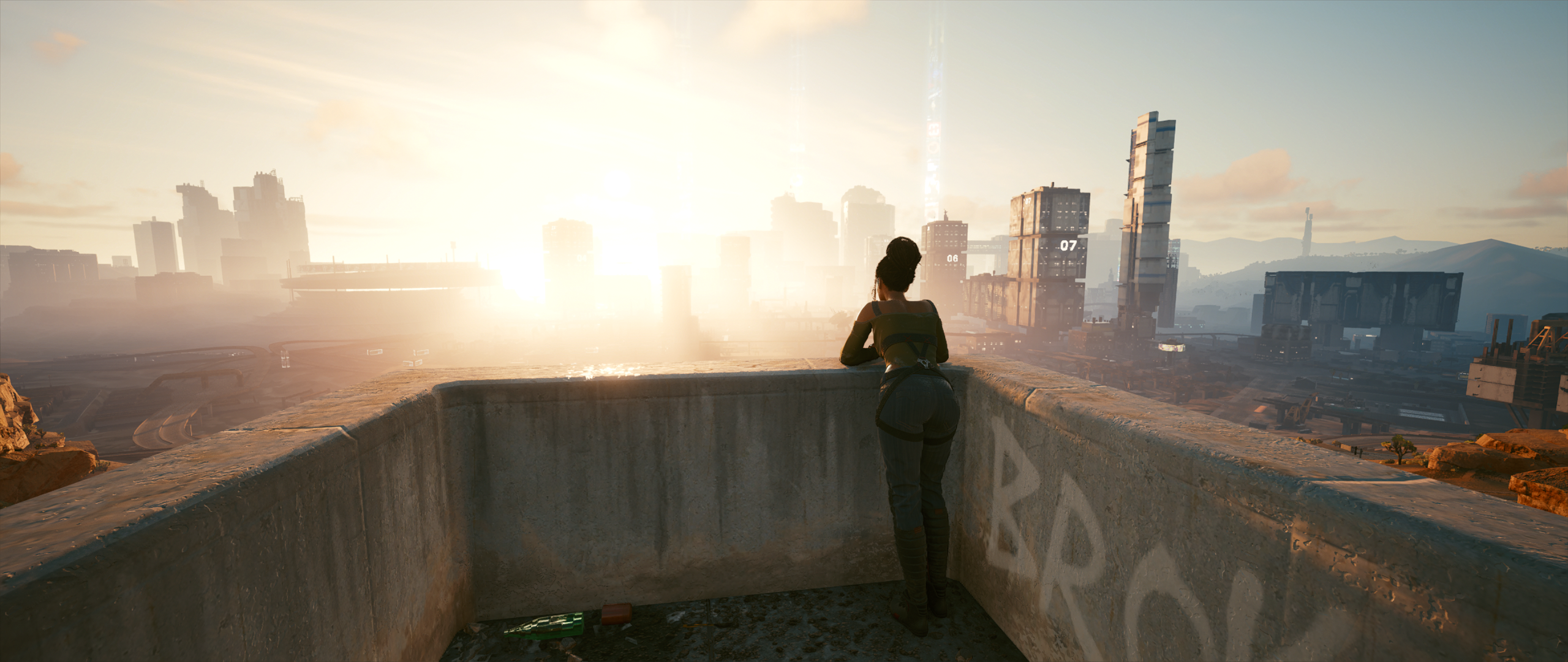 Panam Palmer from Cyberpunk 2077 on a rooftop HD Wallpaper