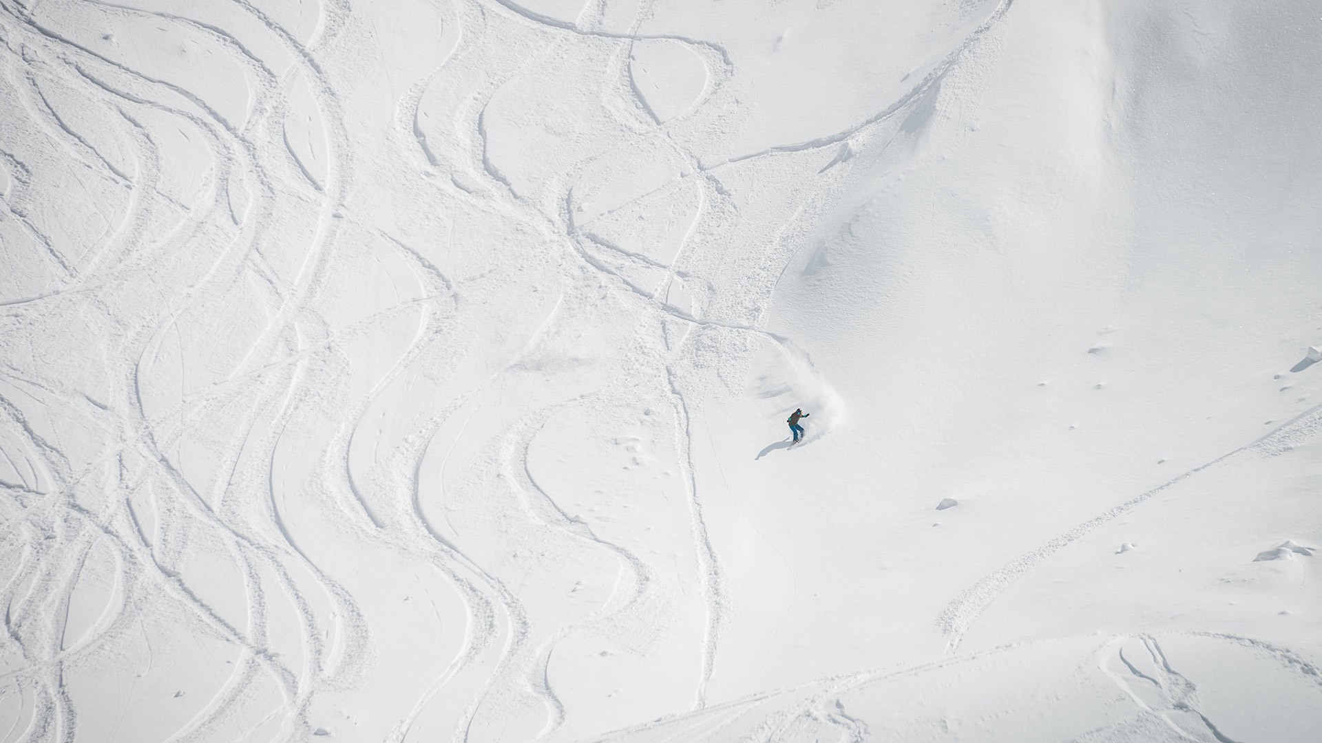 Snowboarder carving tracks on a snowy mountain HD Wallpaper