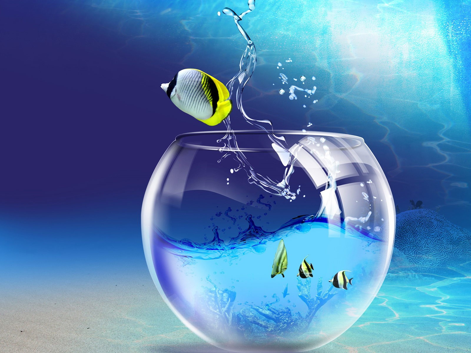 Fish jumping out of a fishbowl underwater HD Wallpaper