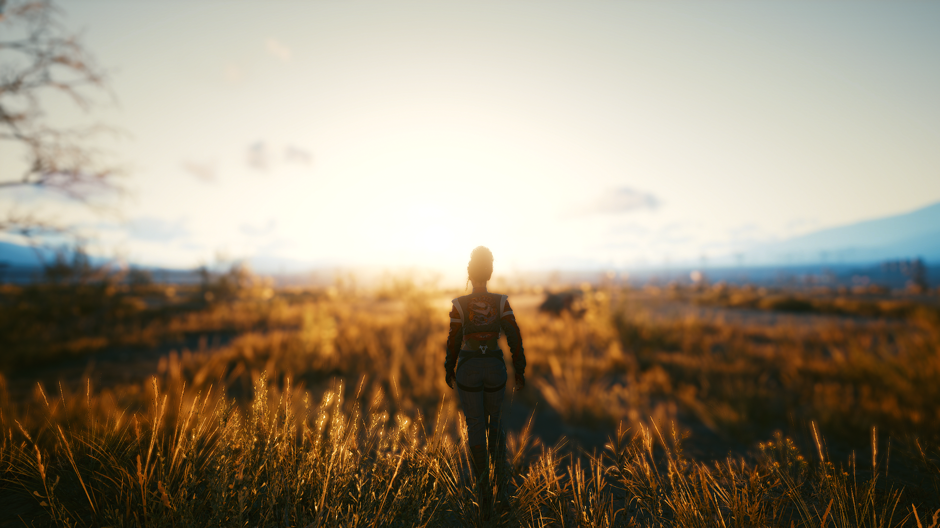 Panam Palmer from Cyberpunk 2077 in a desert at sunset HD Wallpaper