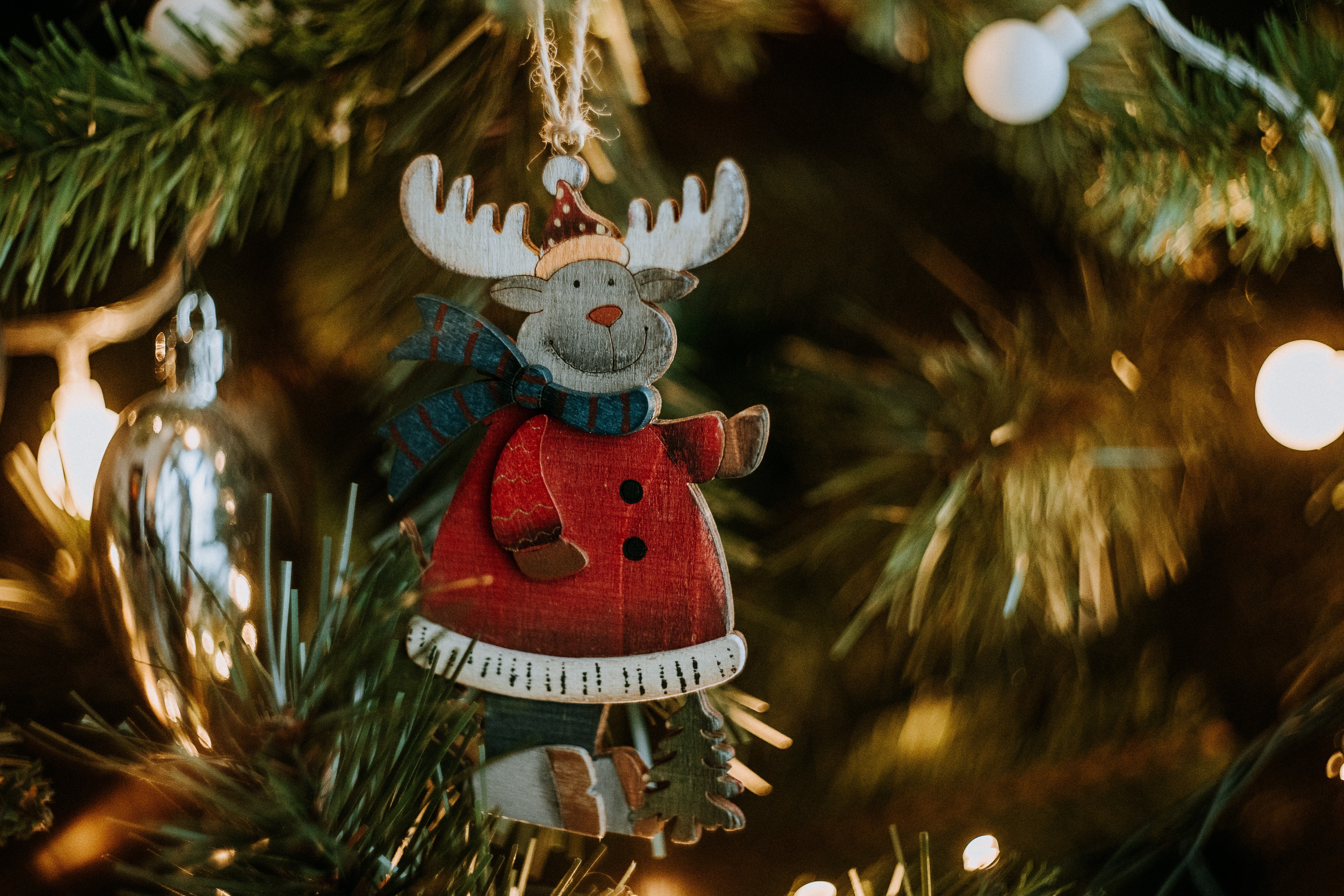 Christmas Tree Decoration with Deer Ornament HD Wallpaper