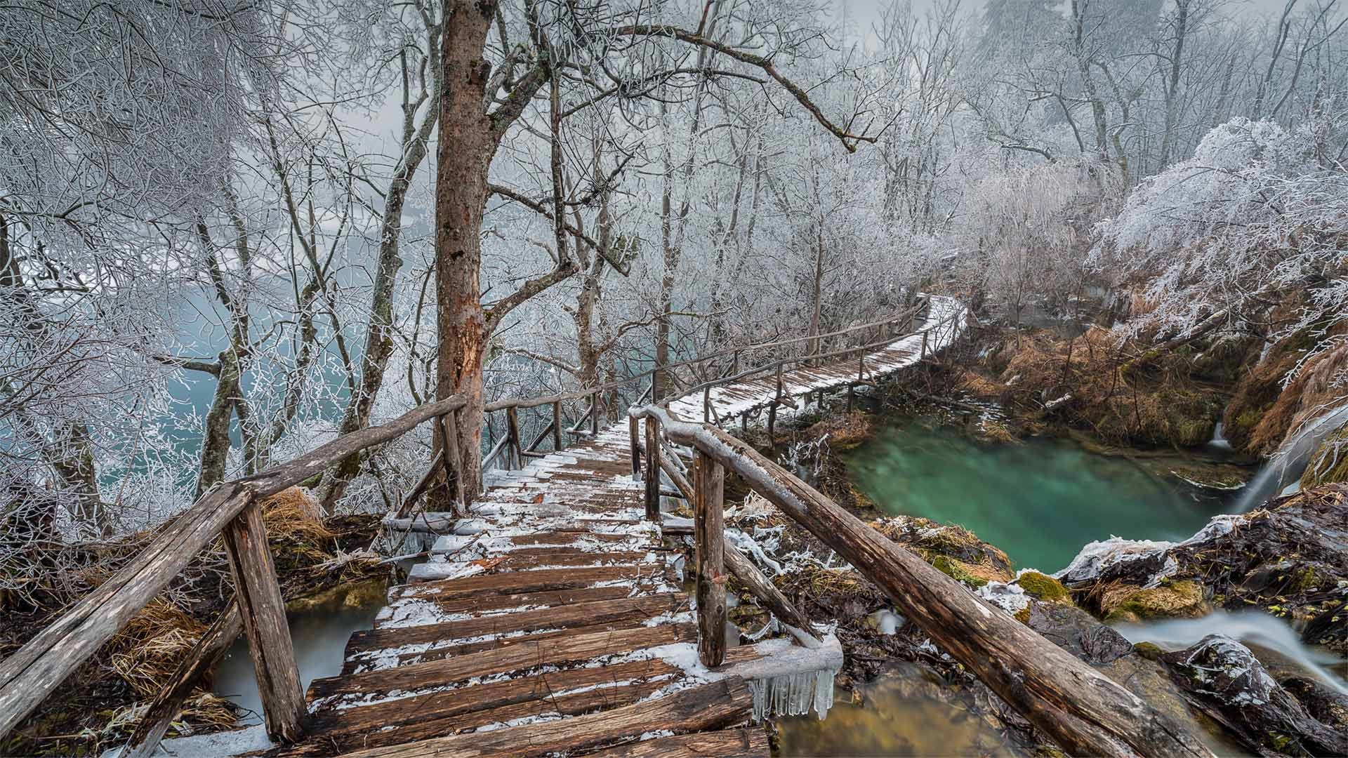 Wooden boardwalk over a turquoise lake in a snowy forest HD Wallpaper