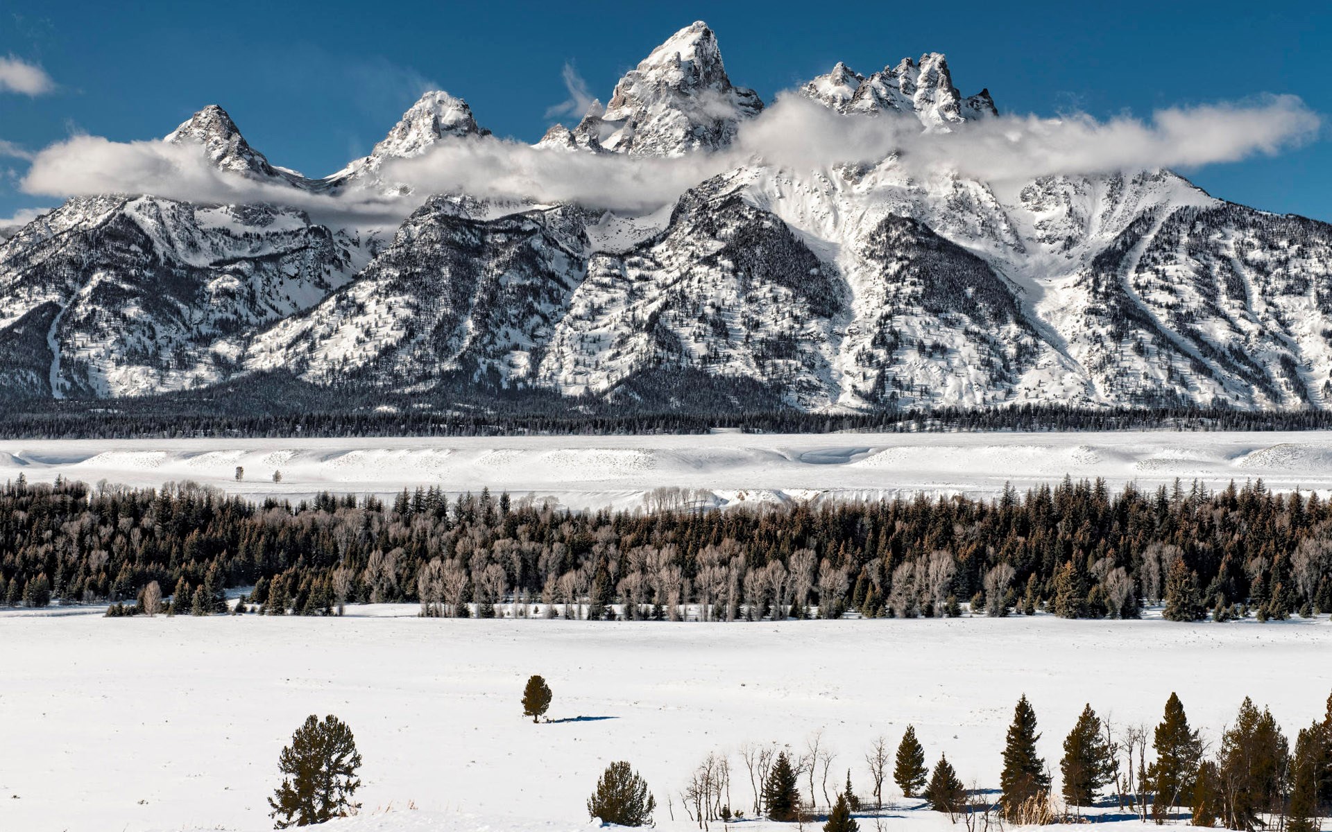 Snow-covered Teton Range mountains under a blue sky HD Wallpaper