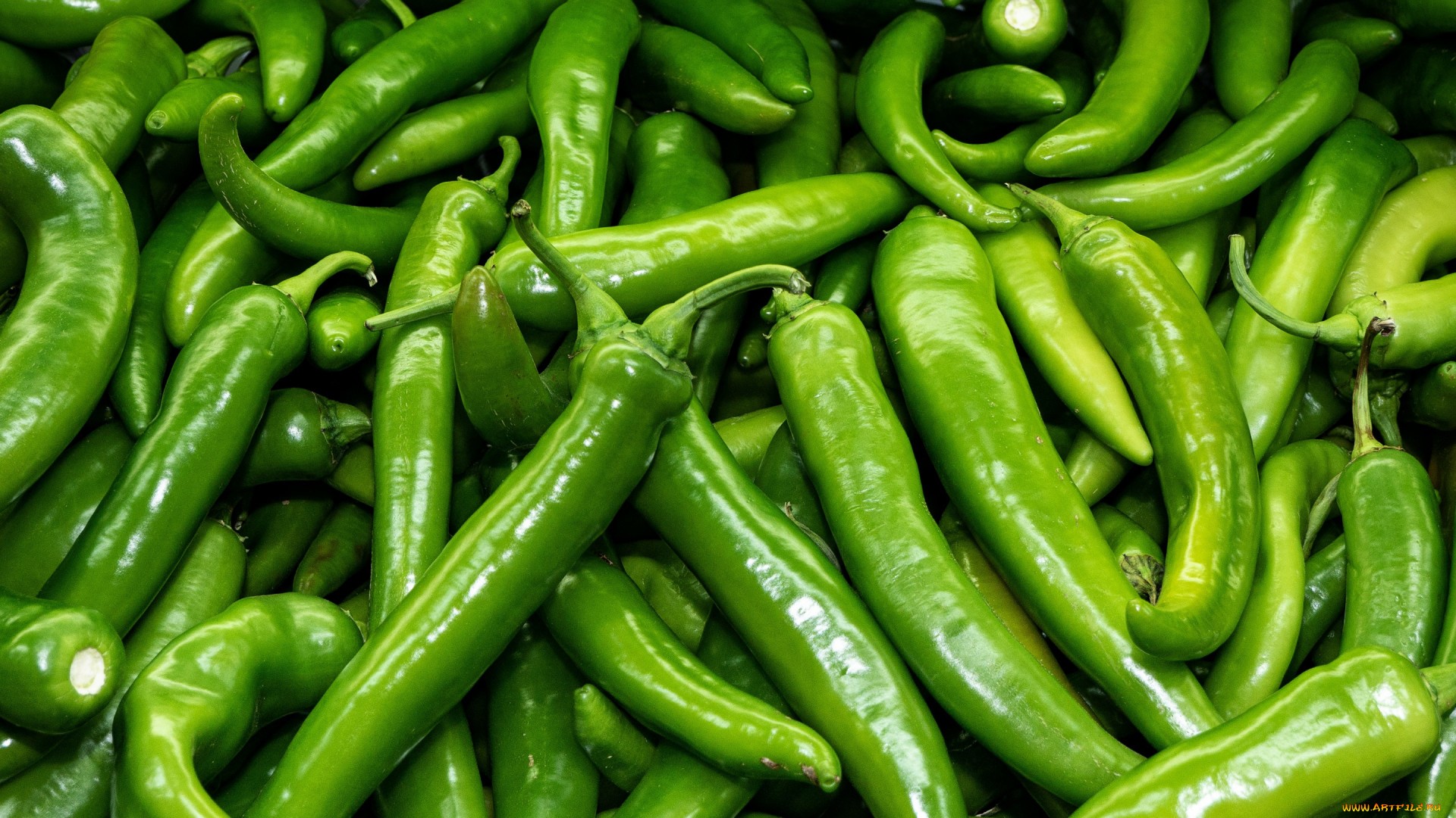 Pile of fresh green chili peppers HD Wallpaper
