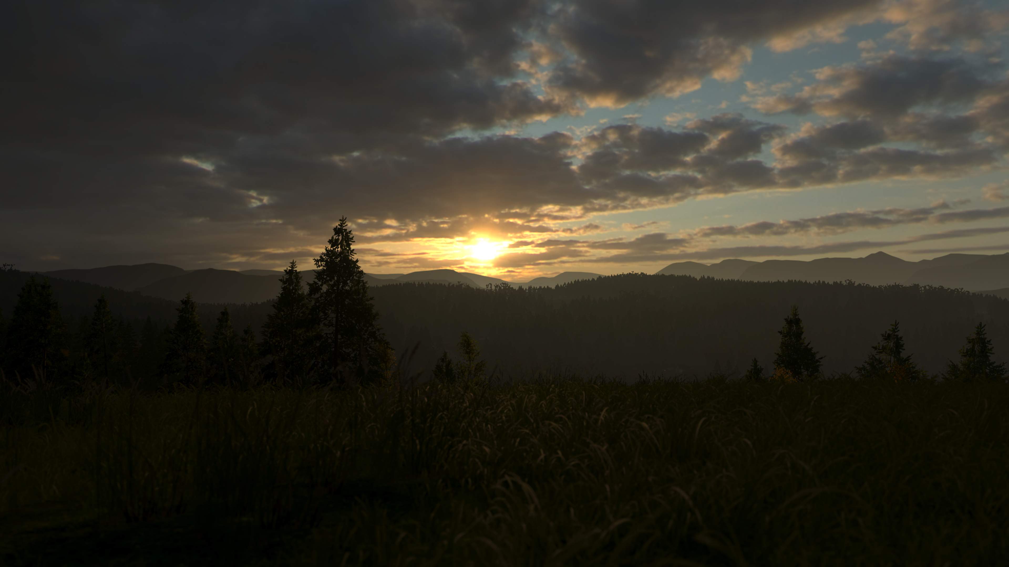 4K Sunrise over Forested Mountains HD Wallpaper