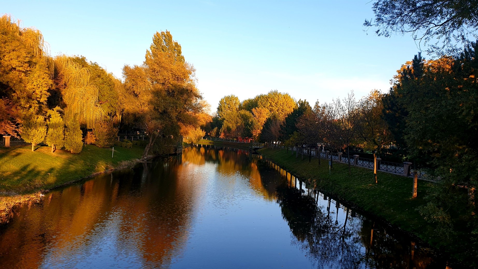 Autumn trees reflecting in a calm river HD Wallpaper