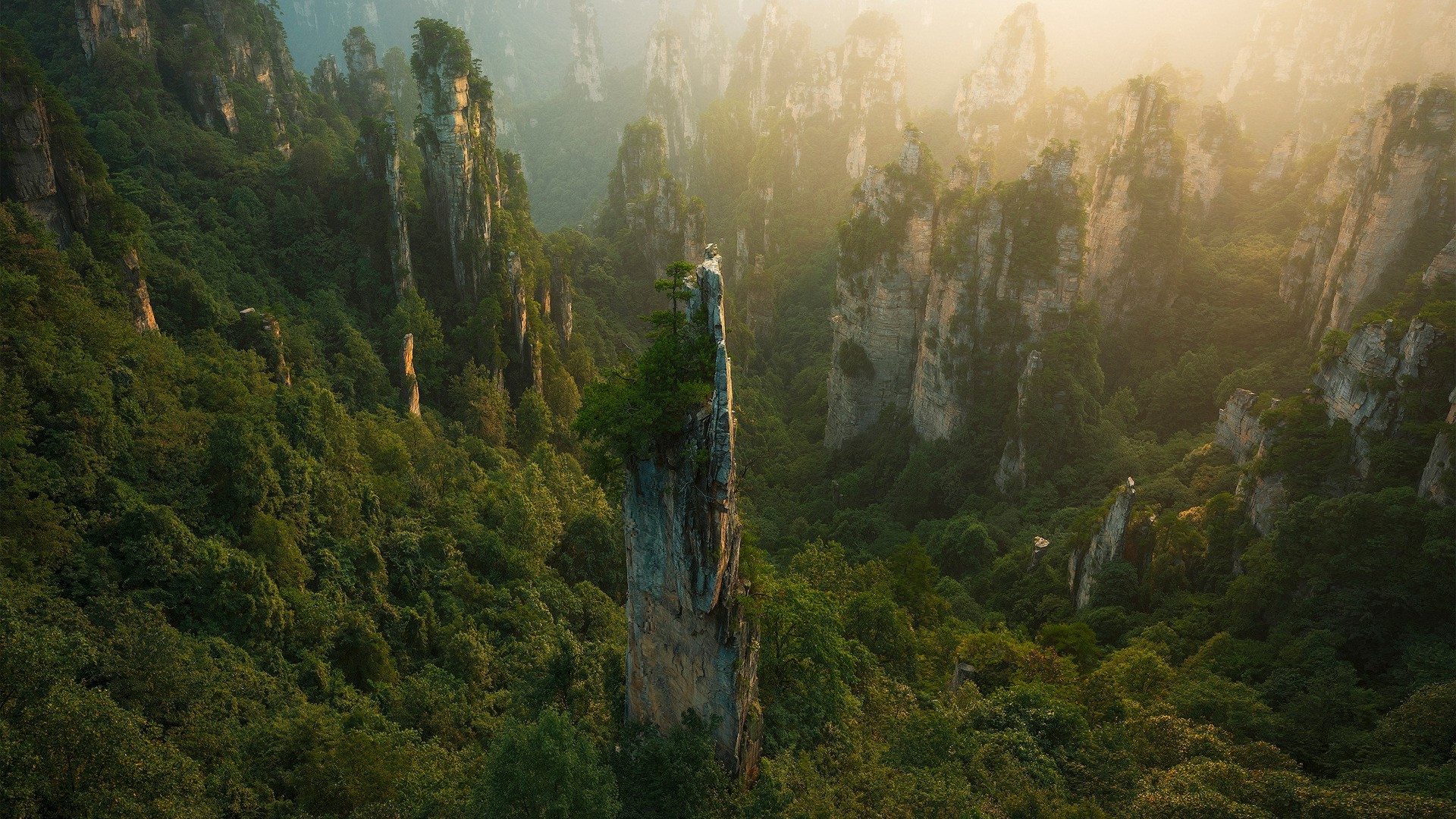 Zhangjiajie National Forest Park, China HD Wallpaper