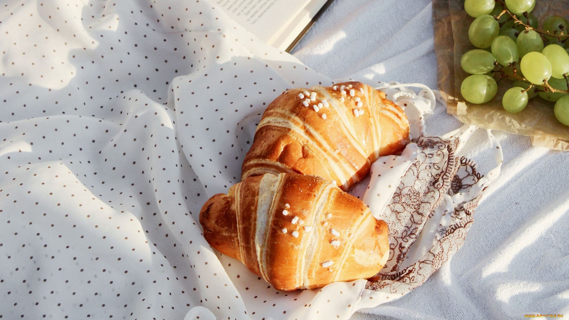 Croissants and grapes on a picnic blanket HD Wallpaper