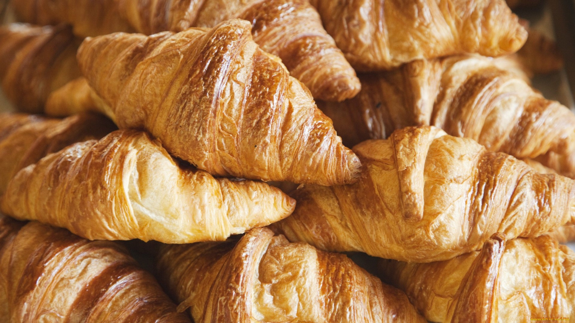 Pile of golden brown croissants HD Wallpaper