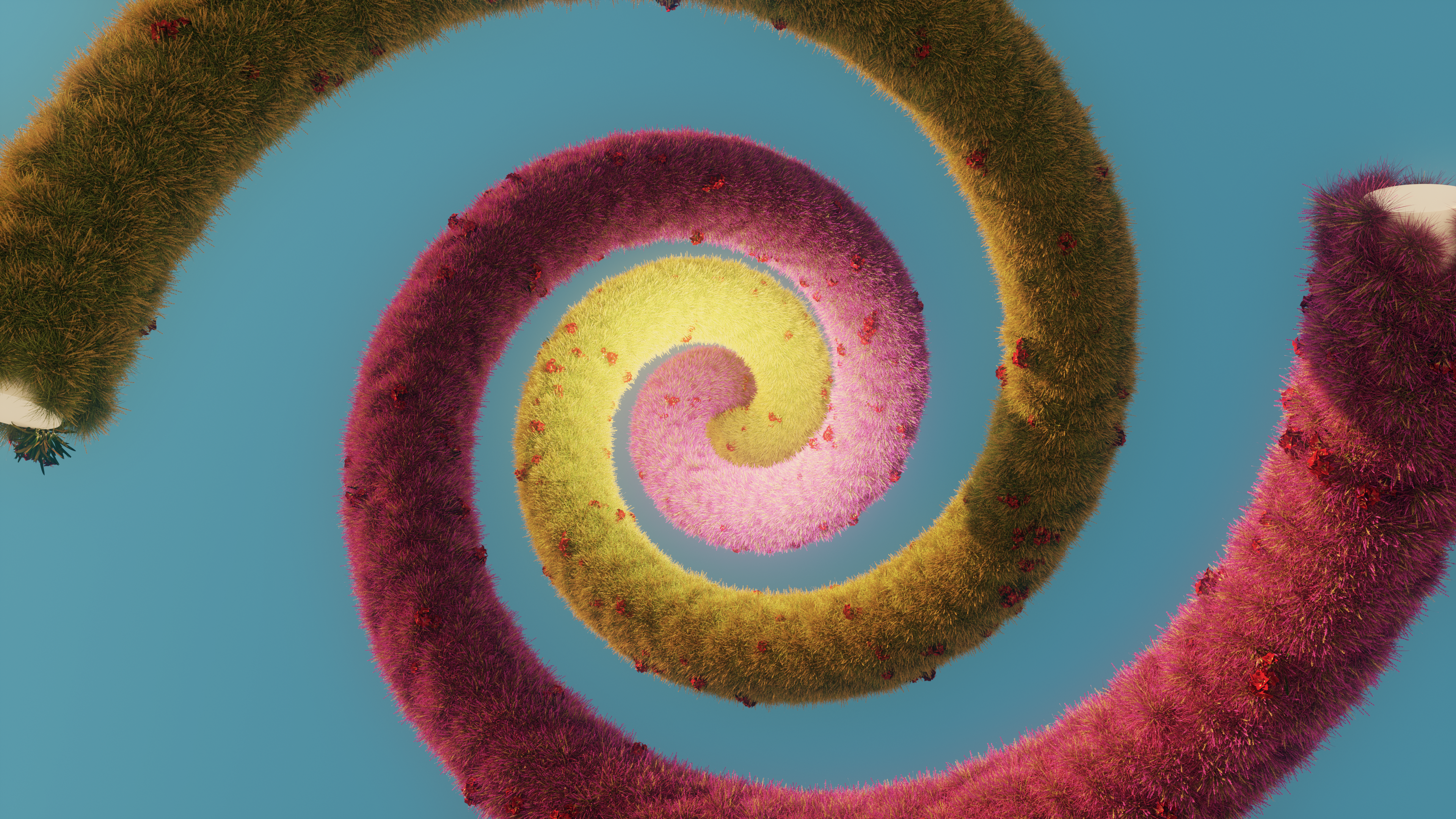 Furry spiral with red berries on blue background HD Wallpaper
