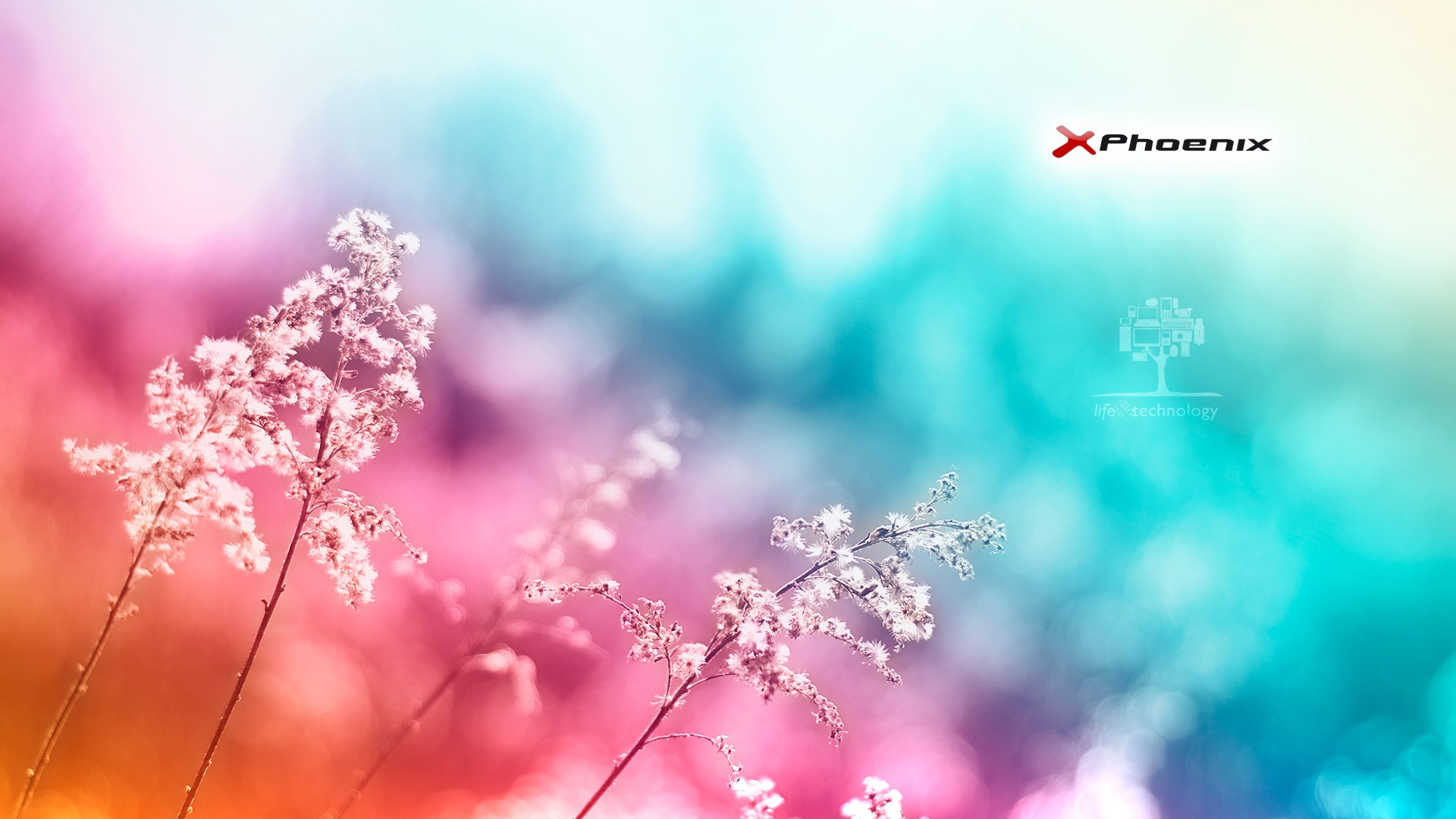 X Phoenix Life Technology digital art HD Wallpaper