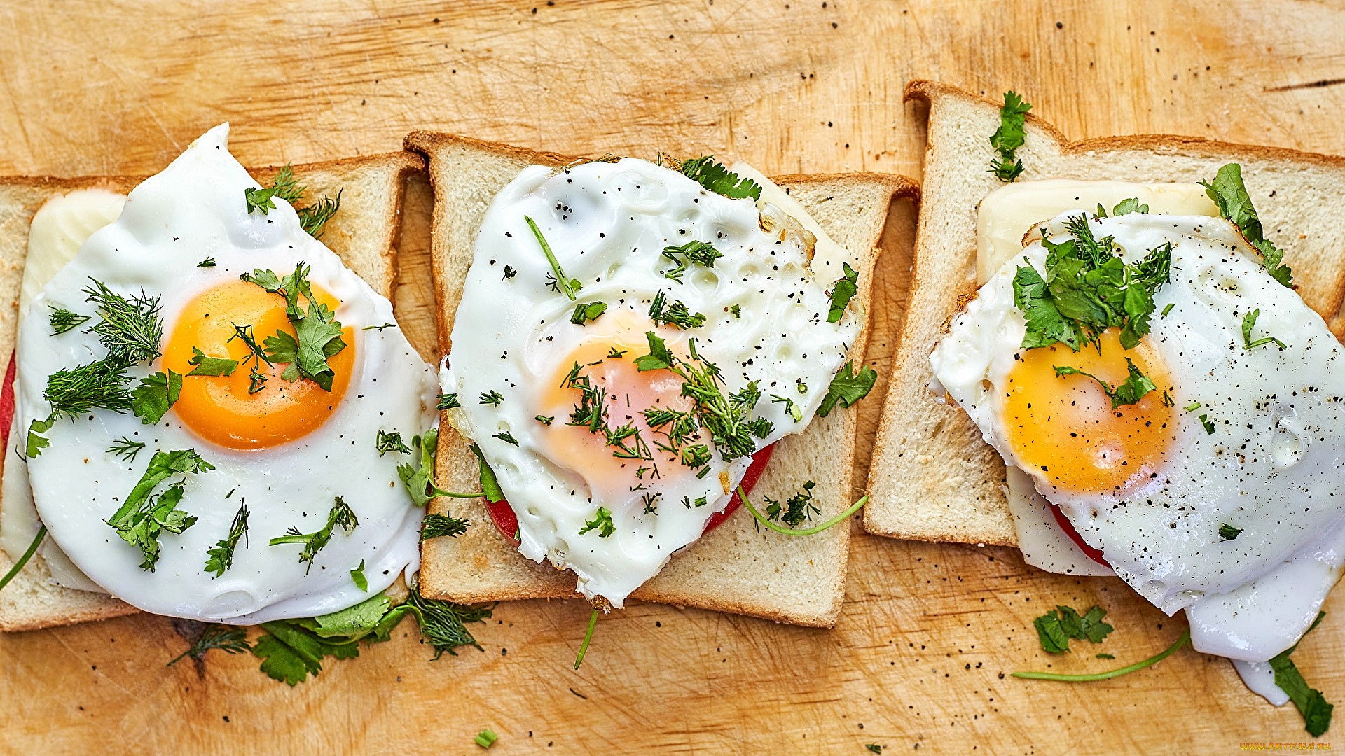 Three fried egg sandwiches with herbs on bread HD Wallpaper