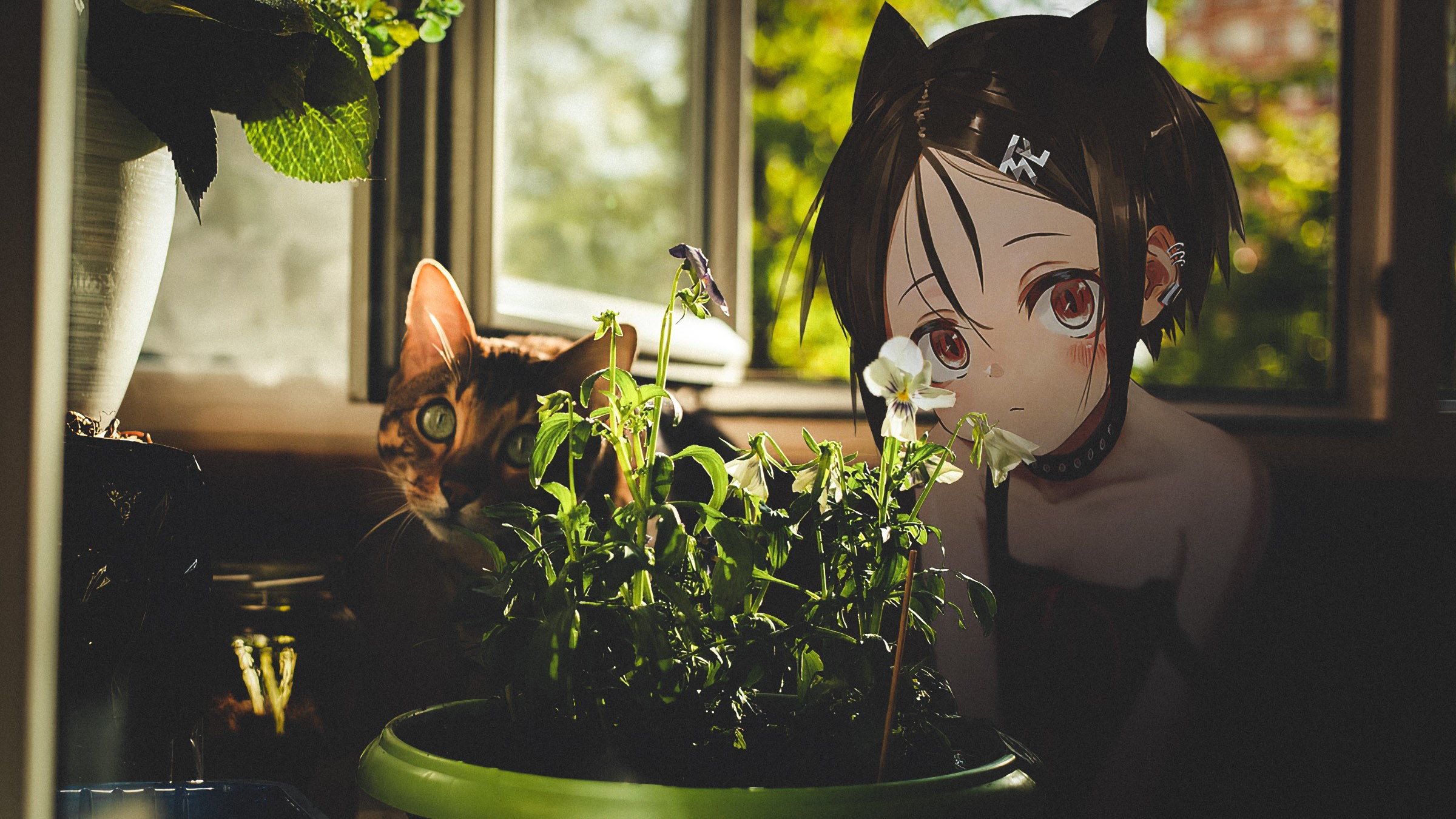 Anime cat girl and Bengal cat by the window HD Wallpaper