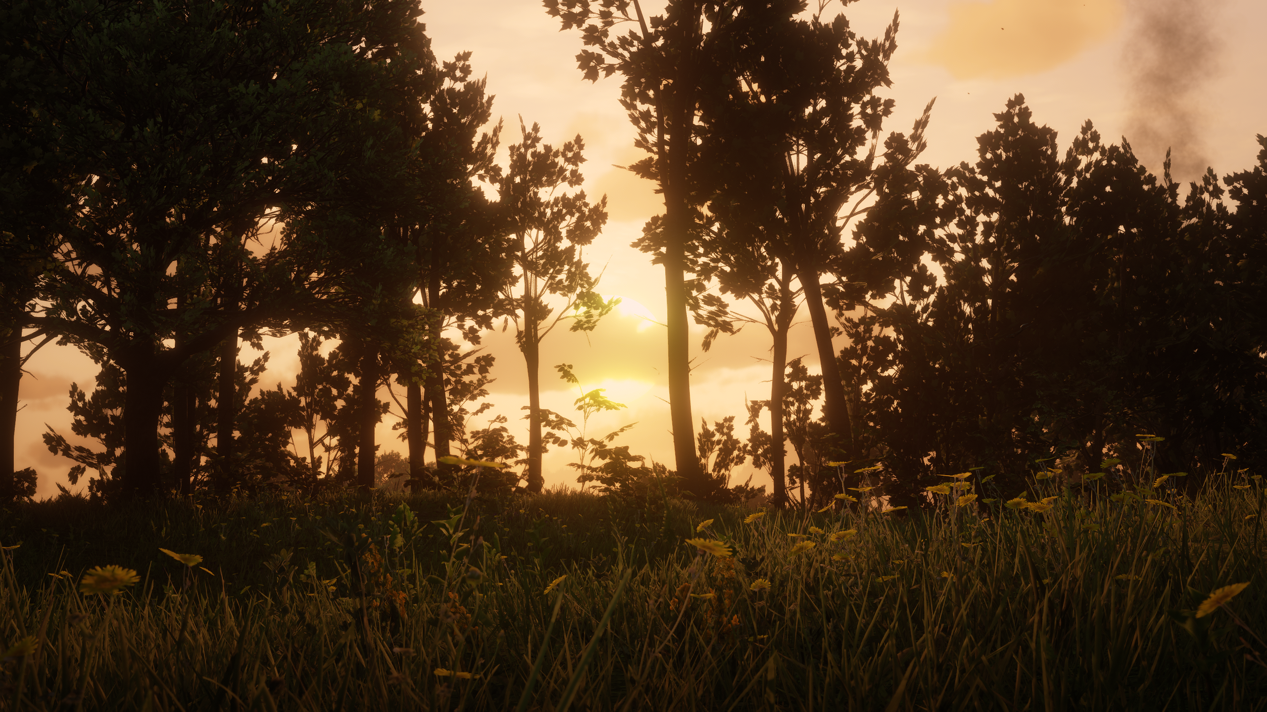 Sunset over a forest in Red Dead Redemption II HD Wallpaper