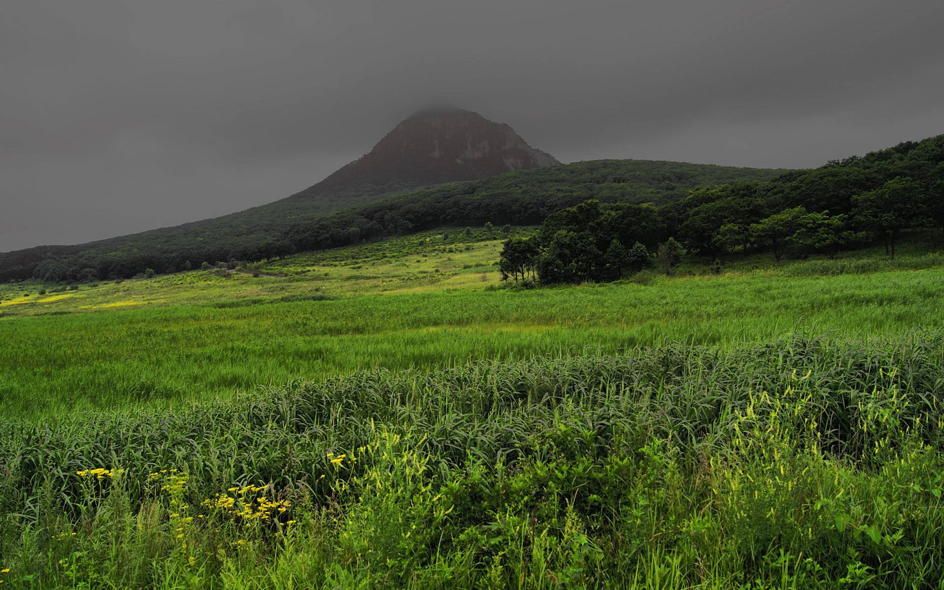 Green rolling hills and a mountain under a cloudy sky HD Wallpaper