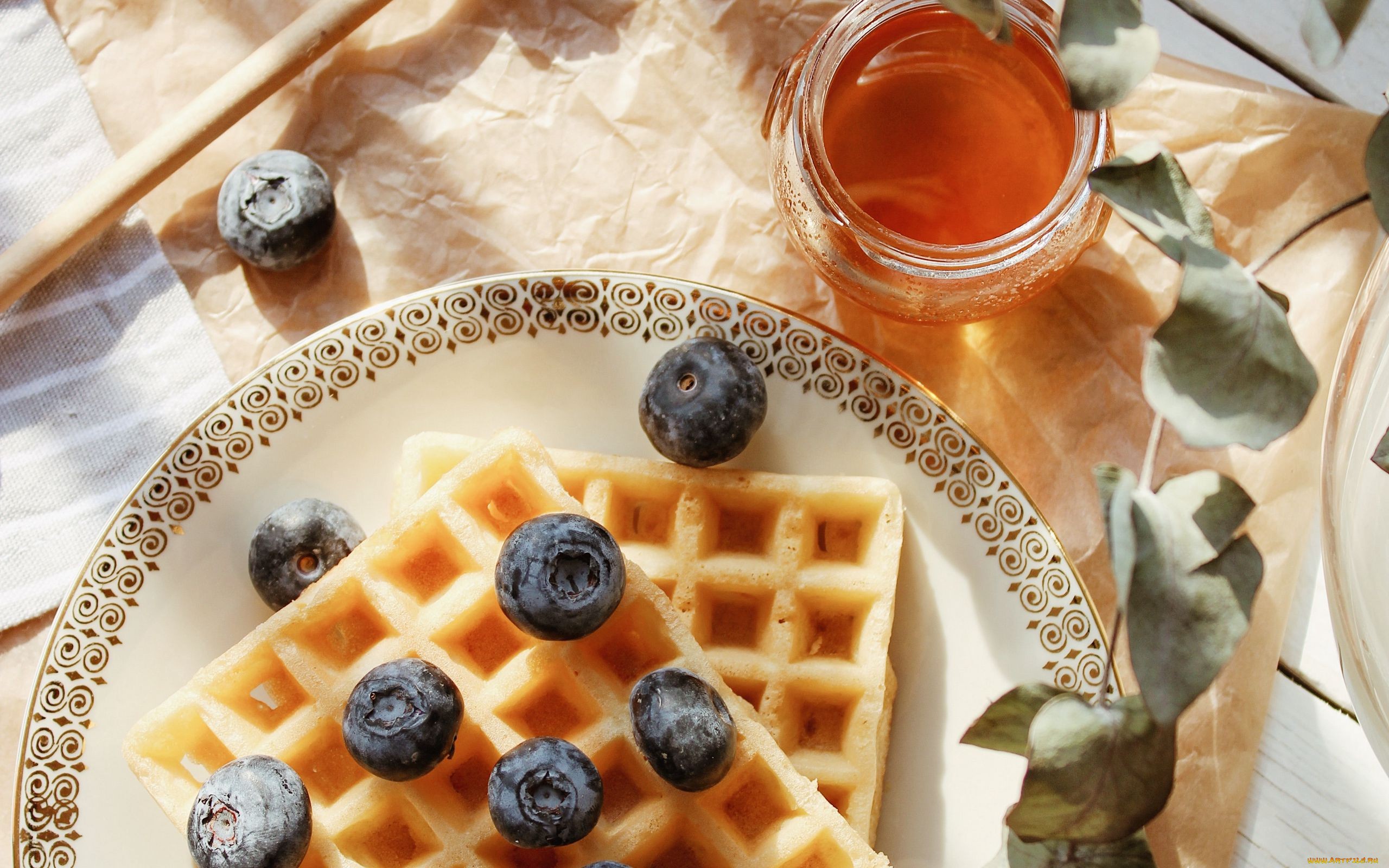 Waffles with blueberries and honey on a plate HD Wallpaper