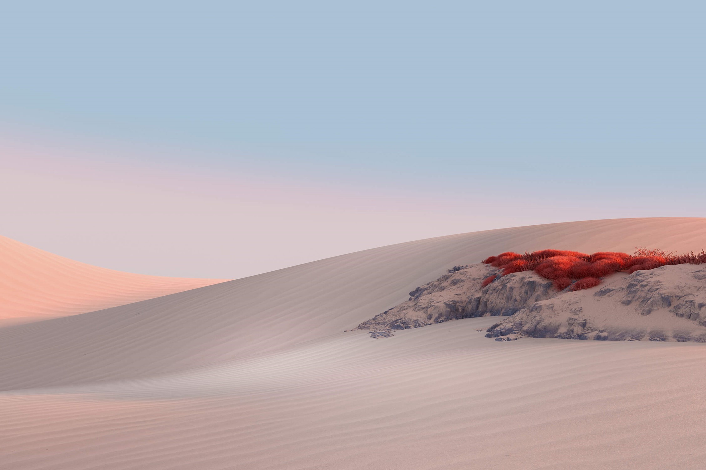 Desert landscape with sand dunes and red grass HD Wallpaper