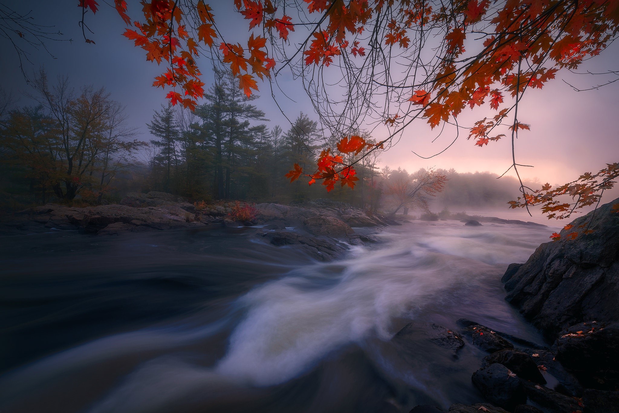 Autumn river with red maple leaves and fog HD Wallpaper