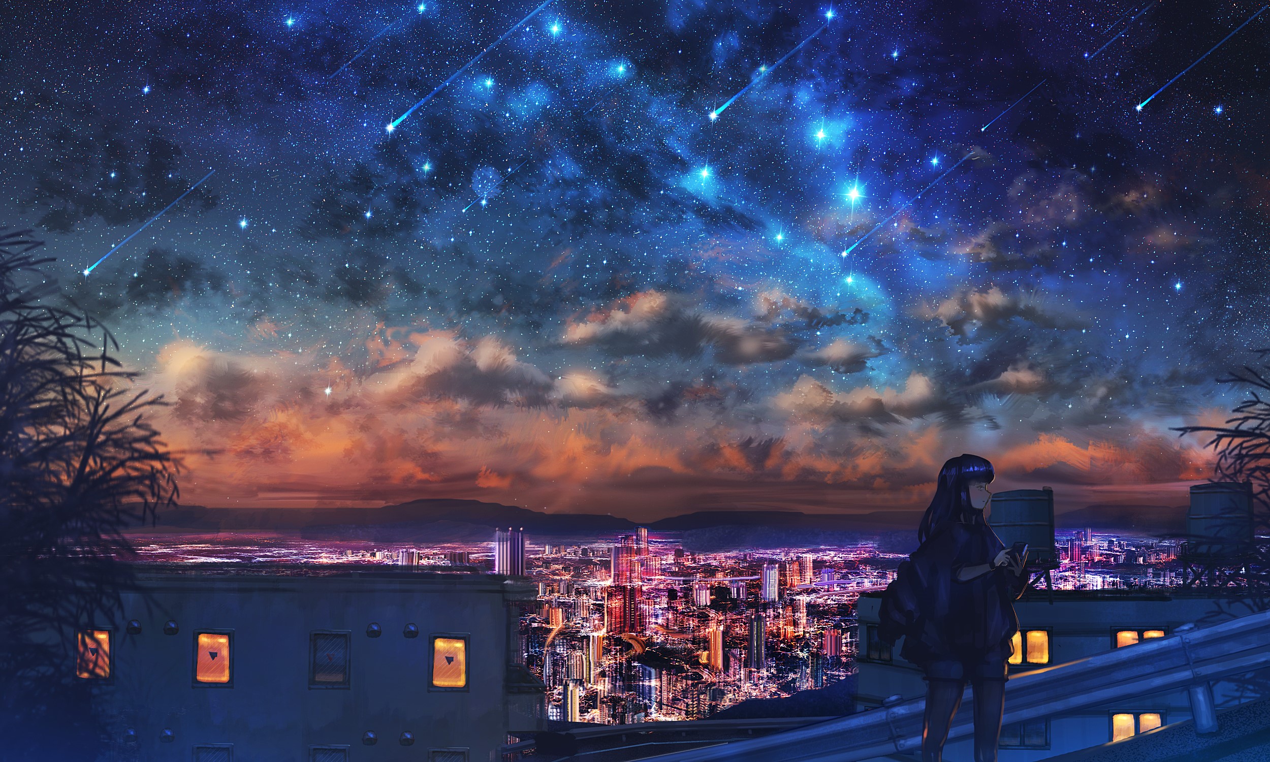 Anime girl looking at a starry cityscape at night HD Wallpaper
