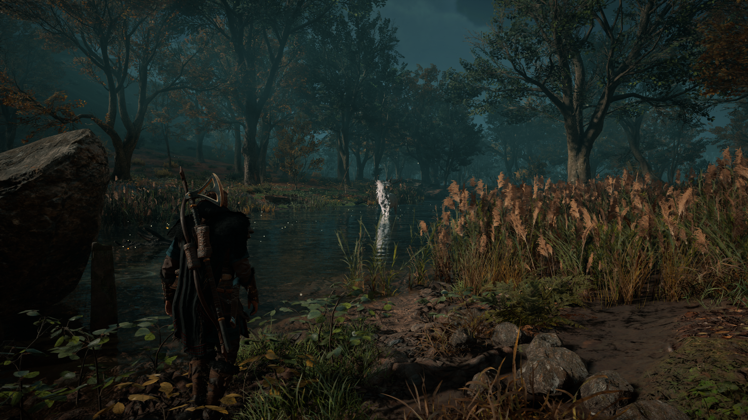 Eivor from Assassin's Creed Valhalla in a forest HD Wallpaper