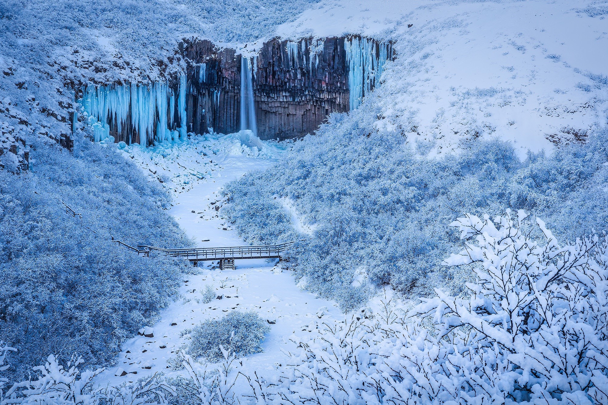 Frozen waterfall with basalt columns and snow-covered trees HD Wallpaper