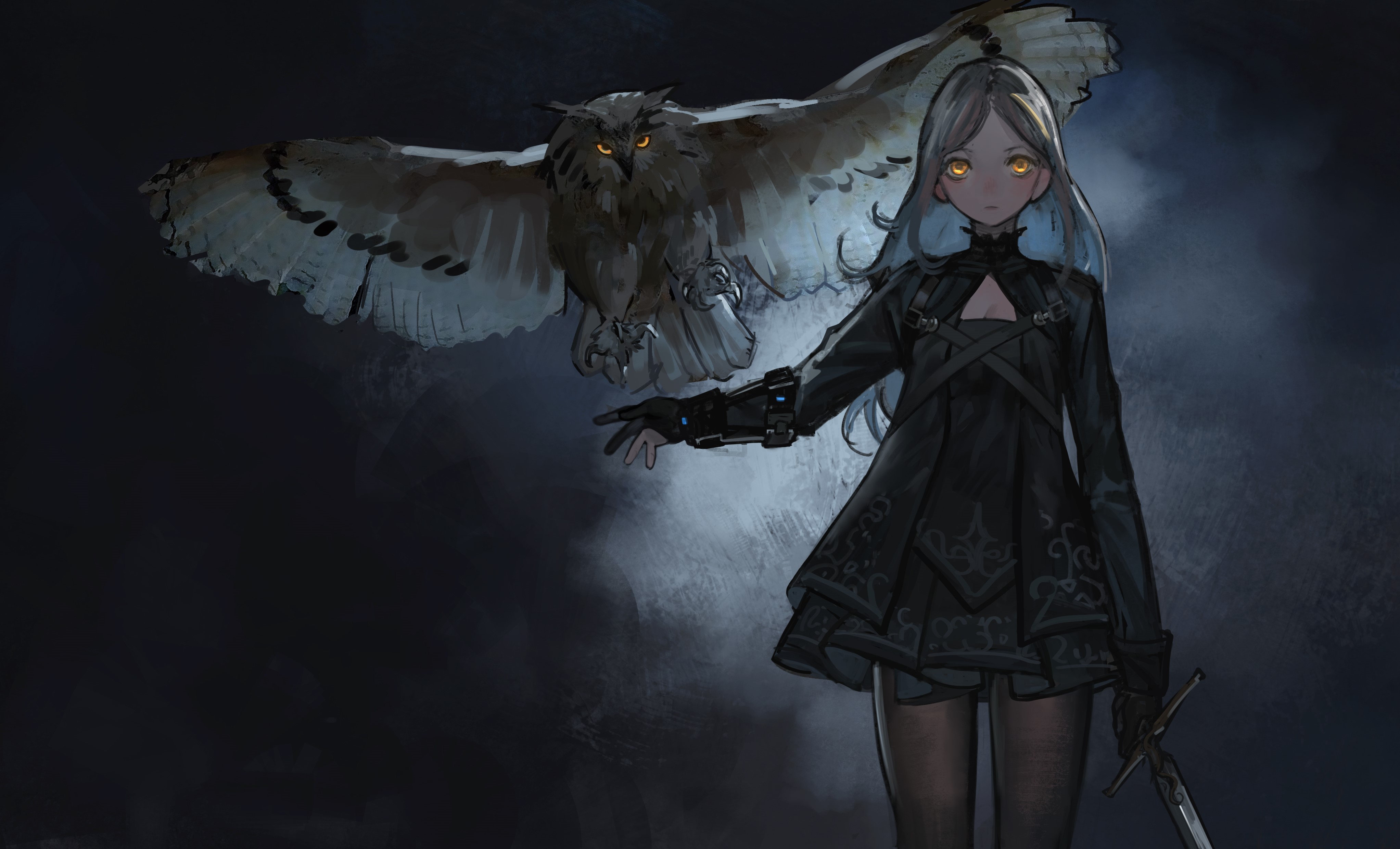 Anime girl with owl and sword HD Wallpaper