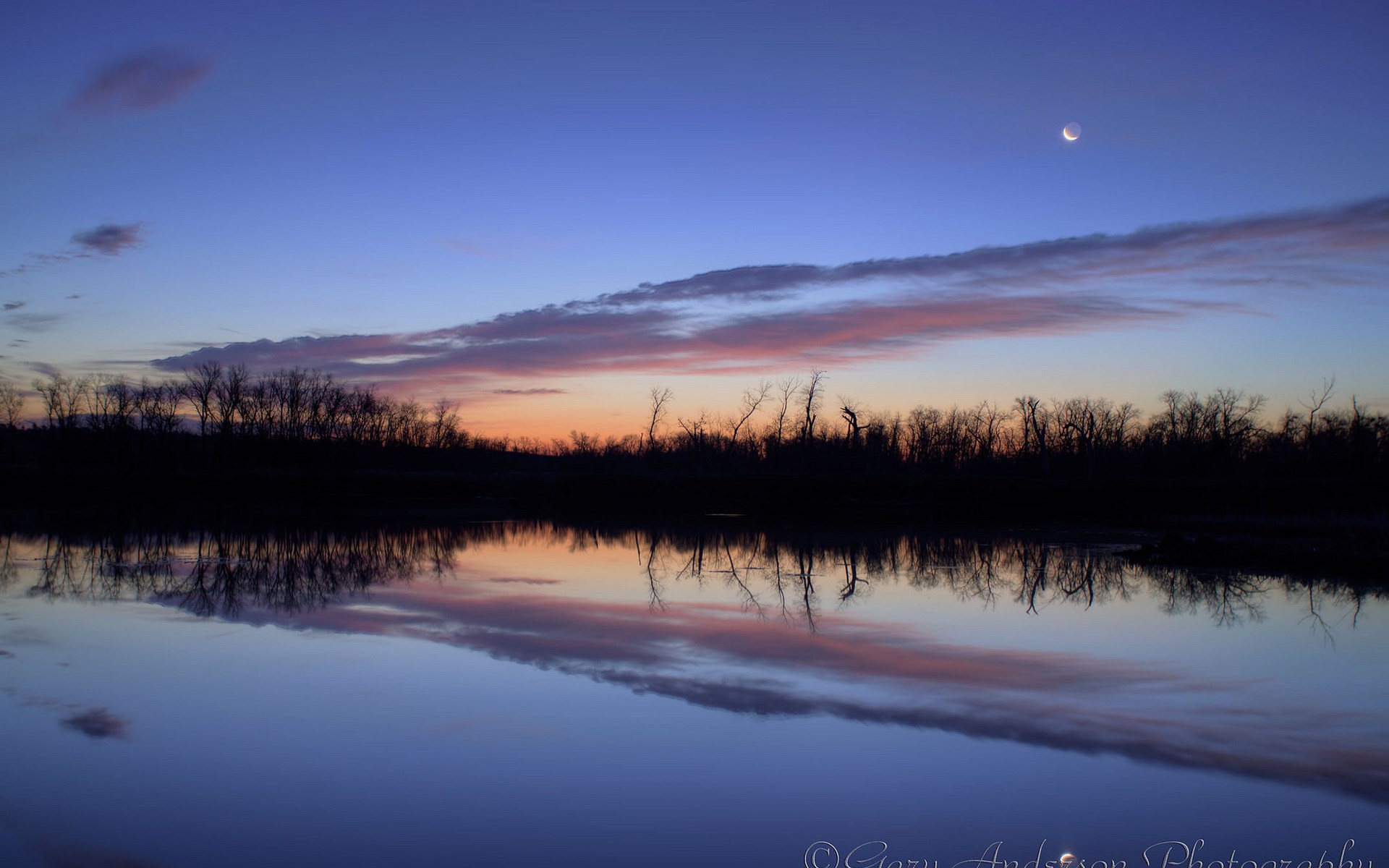 Crescent moon over silhouetted trees reflected in water at dusk HD Wallpaper