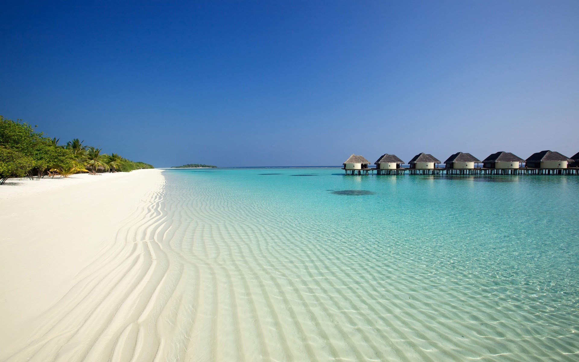 Overwater bungalows on a tropical beach with clear blue water HD Wallpaper