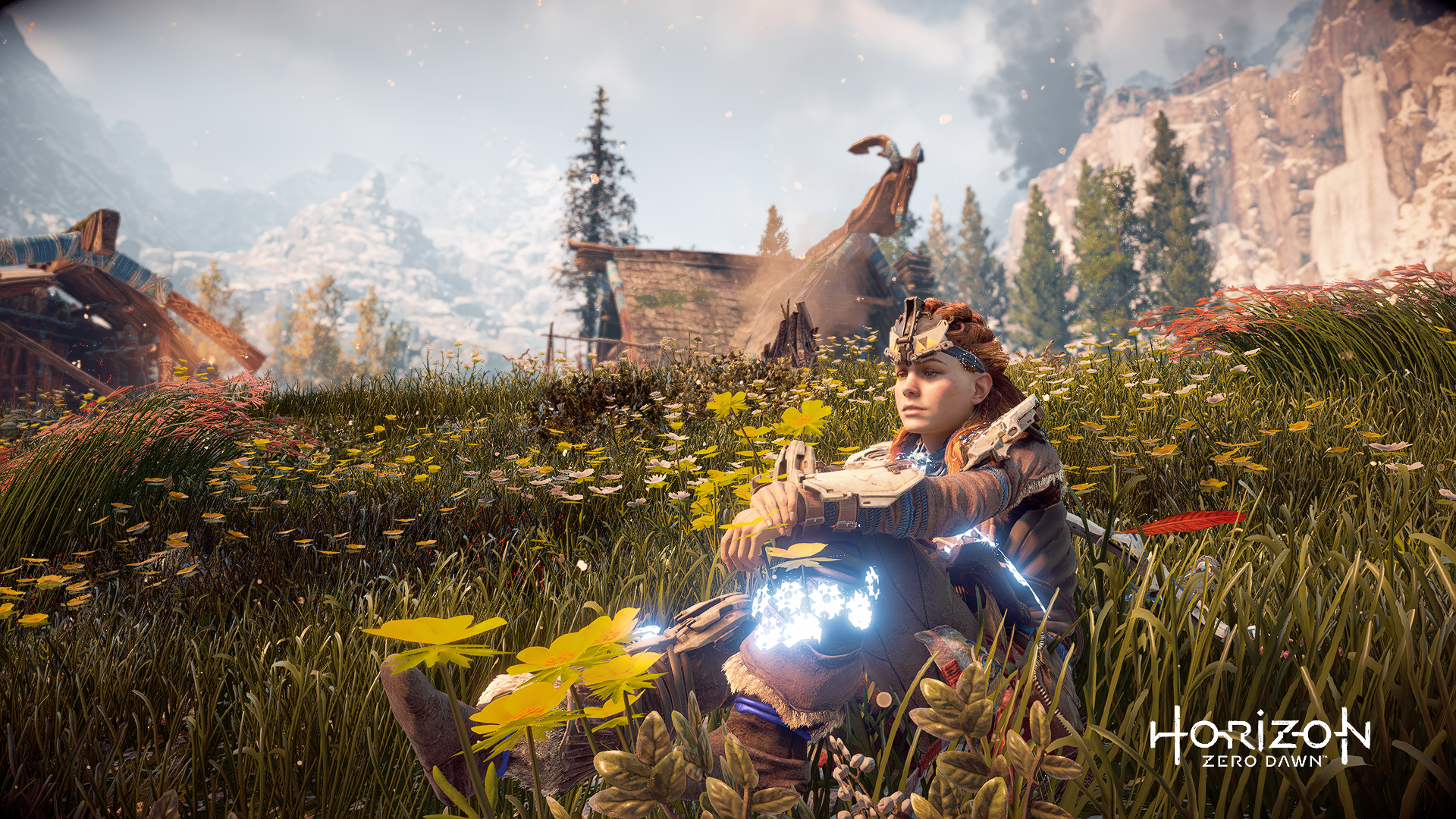 Aloy from Horizon: Zero Dawn sitting in a field HD Wallpaper