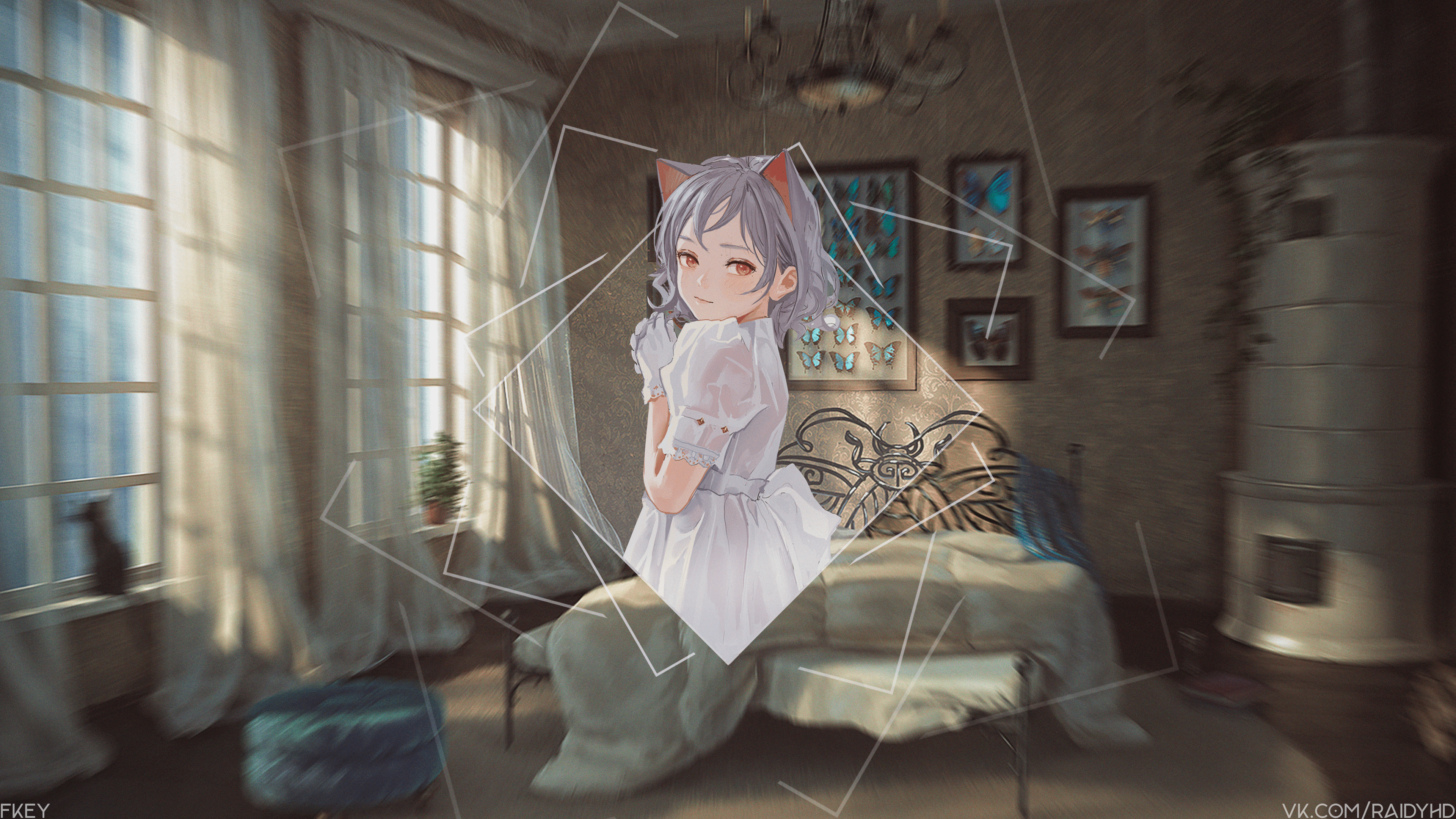 Anime girl with cat ears in a room HD Wallpaper