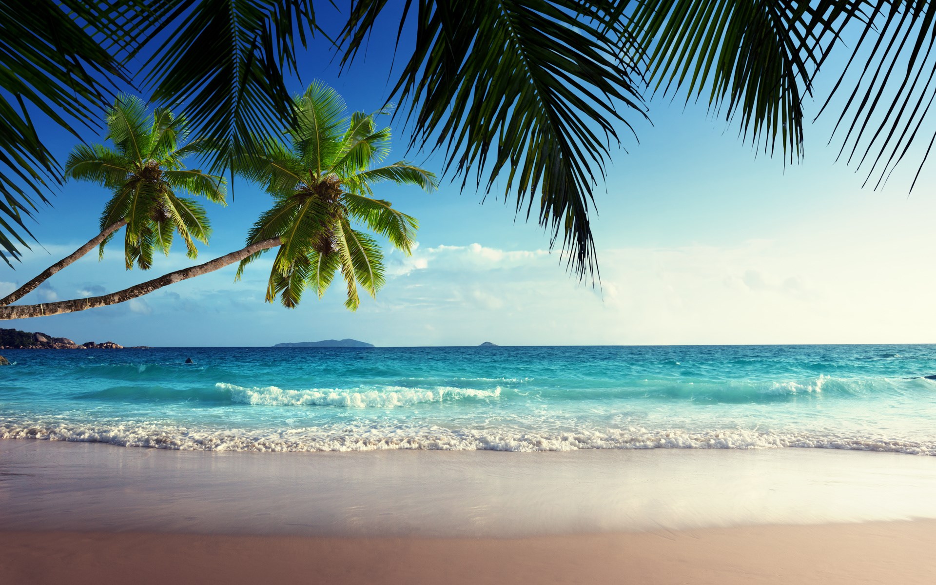 Tropical beach with palm trees and ocean waves HD Wallpaper