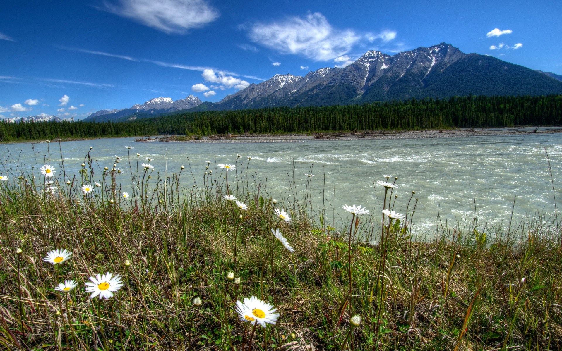 River and Mountains with Daisies HD Wallpaper